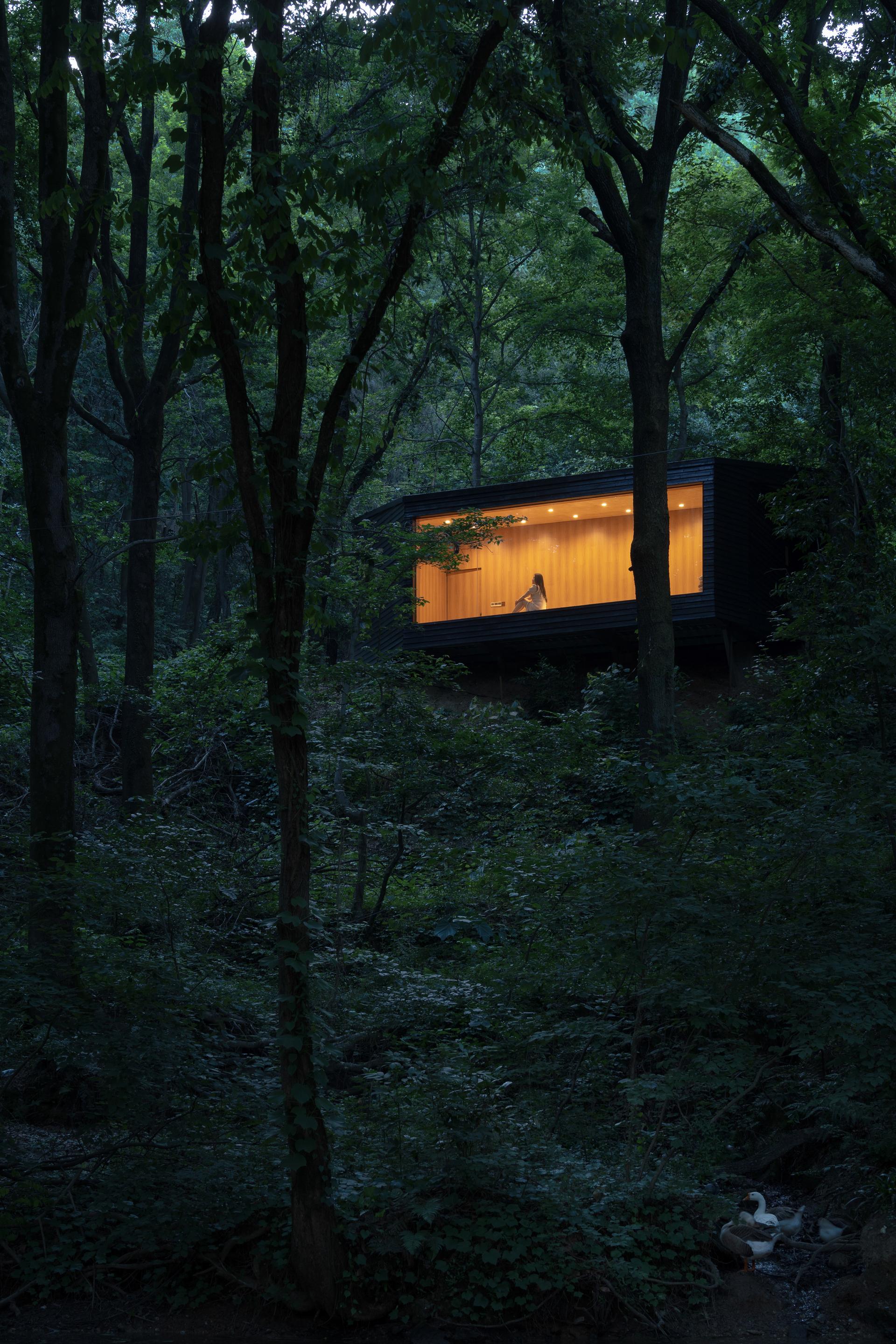 Aquatree Resort Healing Cabin - Deep tranquility - image 4