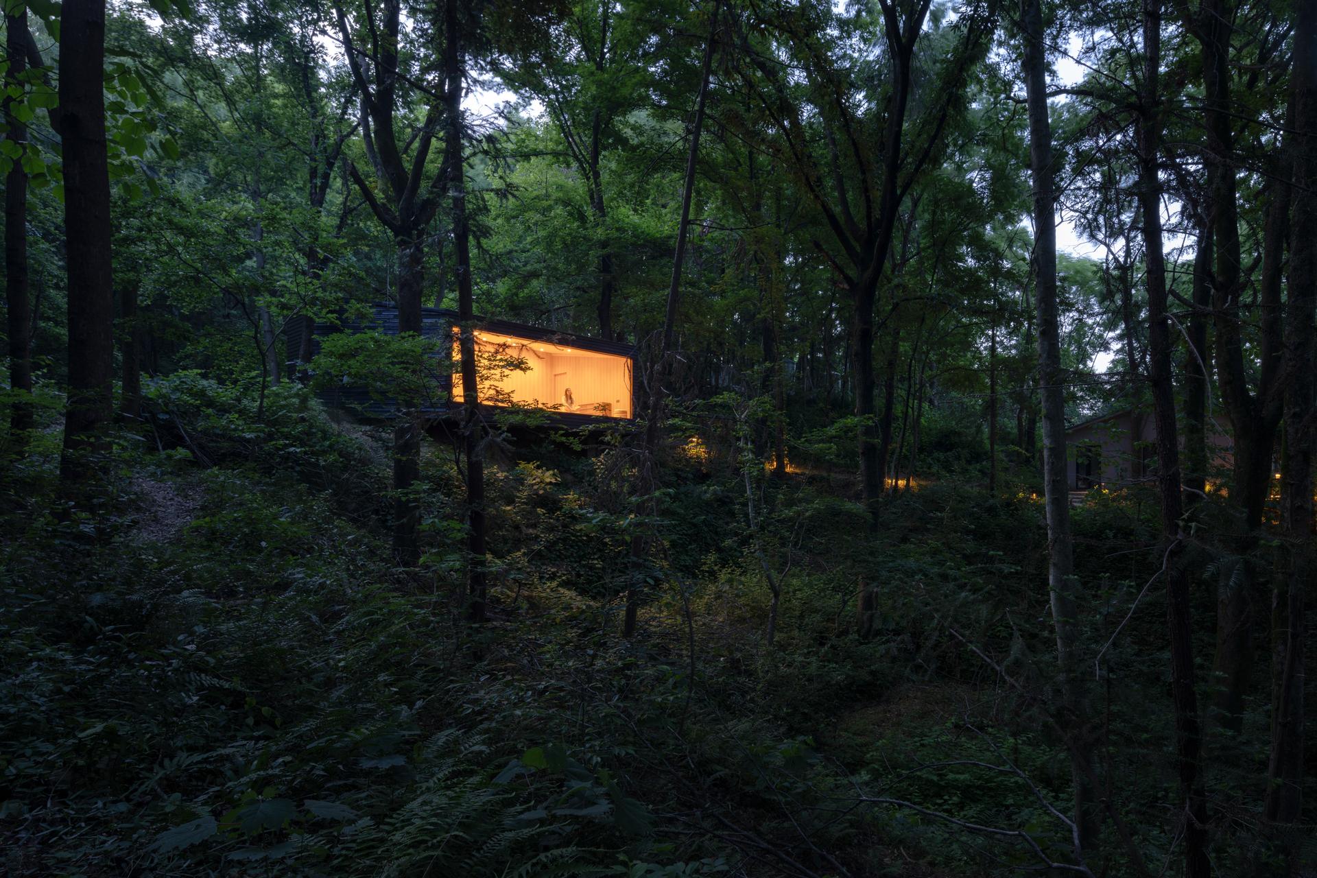Aquatree Resort Healing Cabin - Deep tranquility - image 3