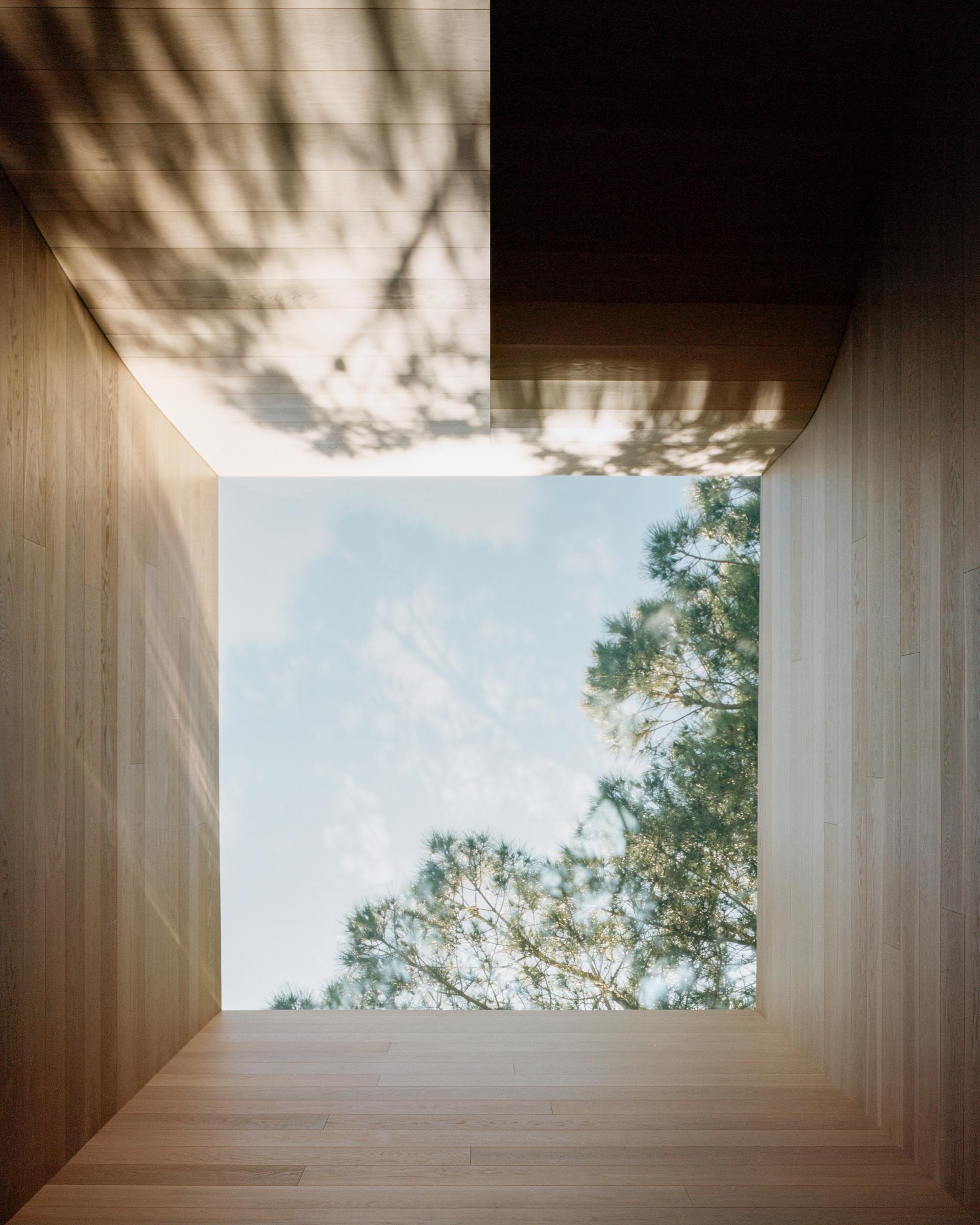 House of Horns - image 22