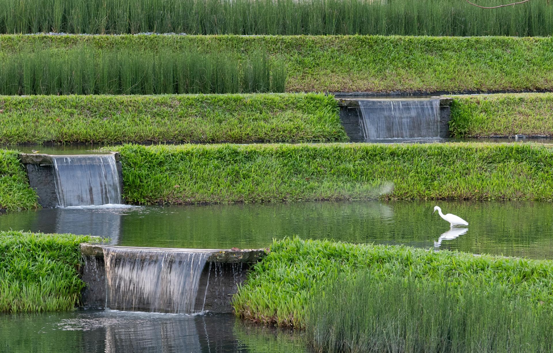 Sanya Guanlan Terrace Garden - image 6