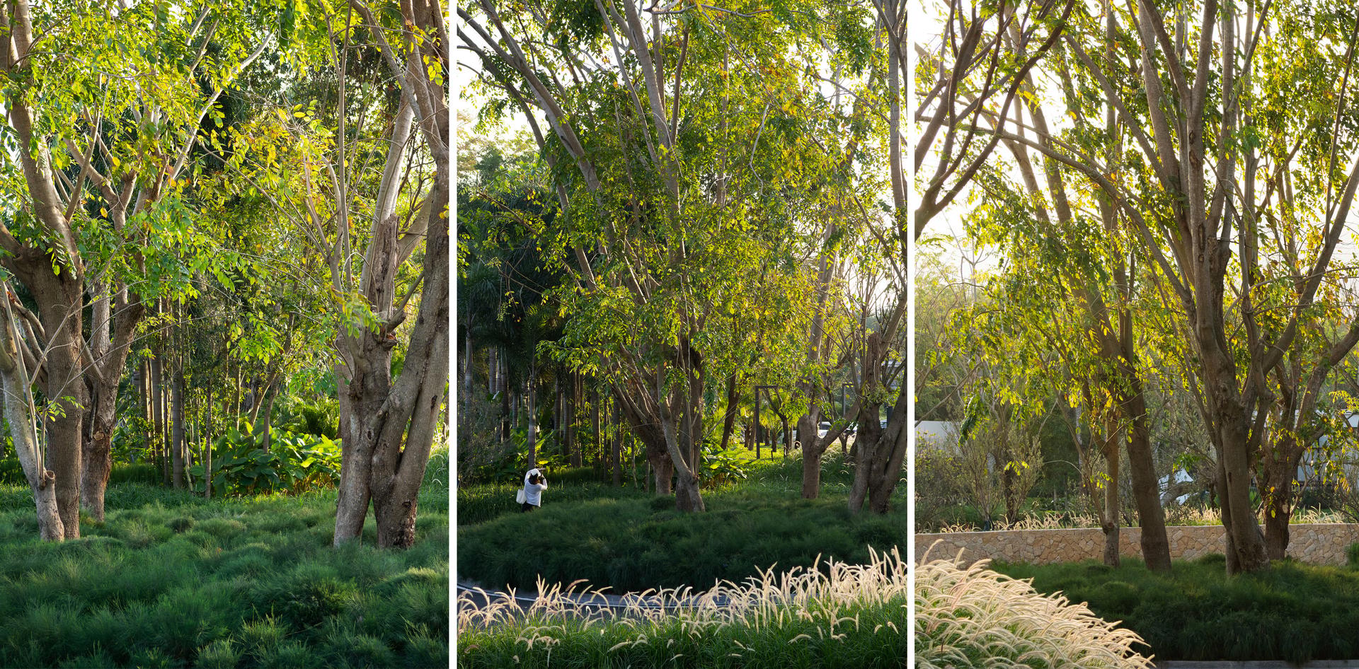 Sanya Guanlan Terrace Garden - image 15