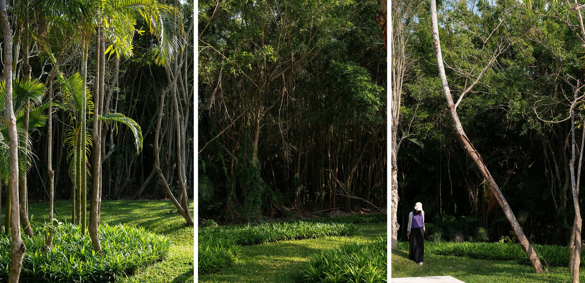 Sanya Guanlan Terrace Garden - image 18