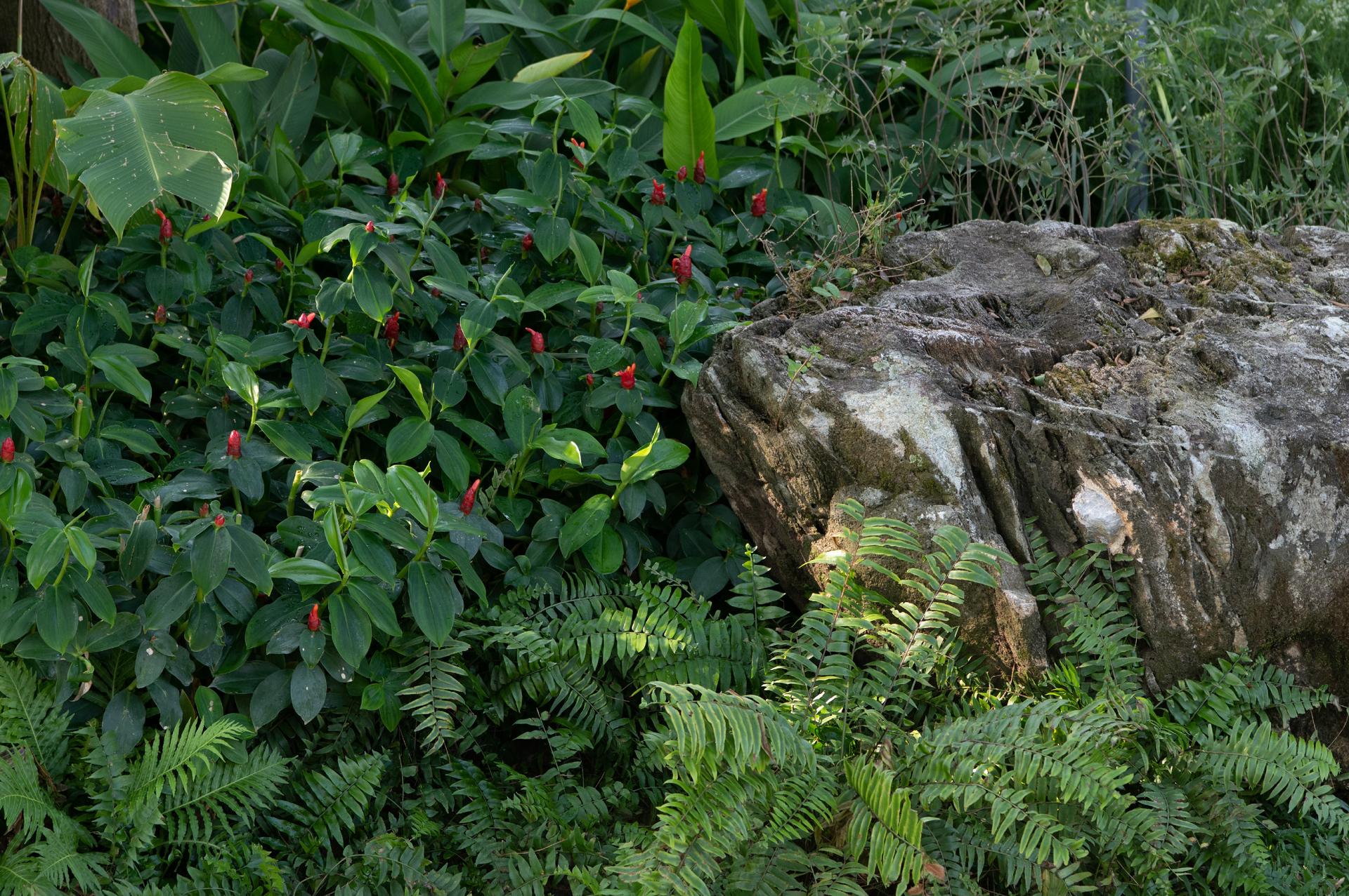 Sanya Guanlan Terrace Garden - image 24