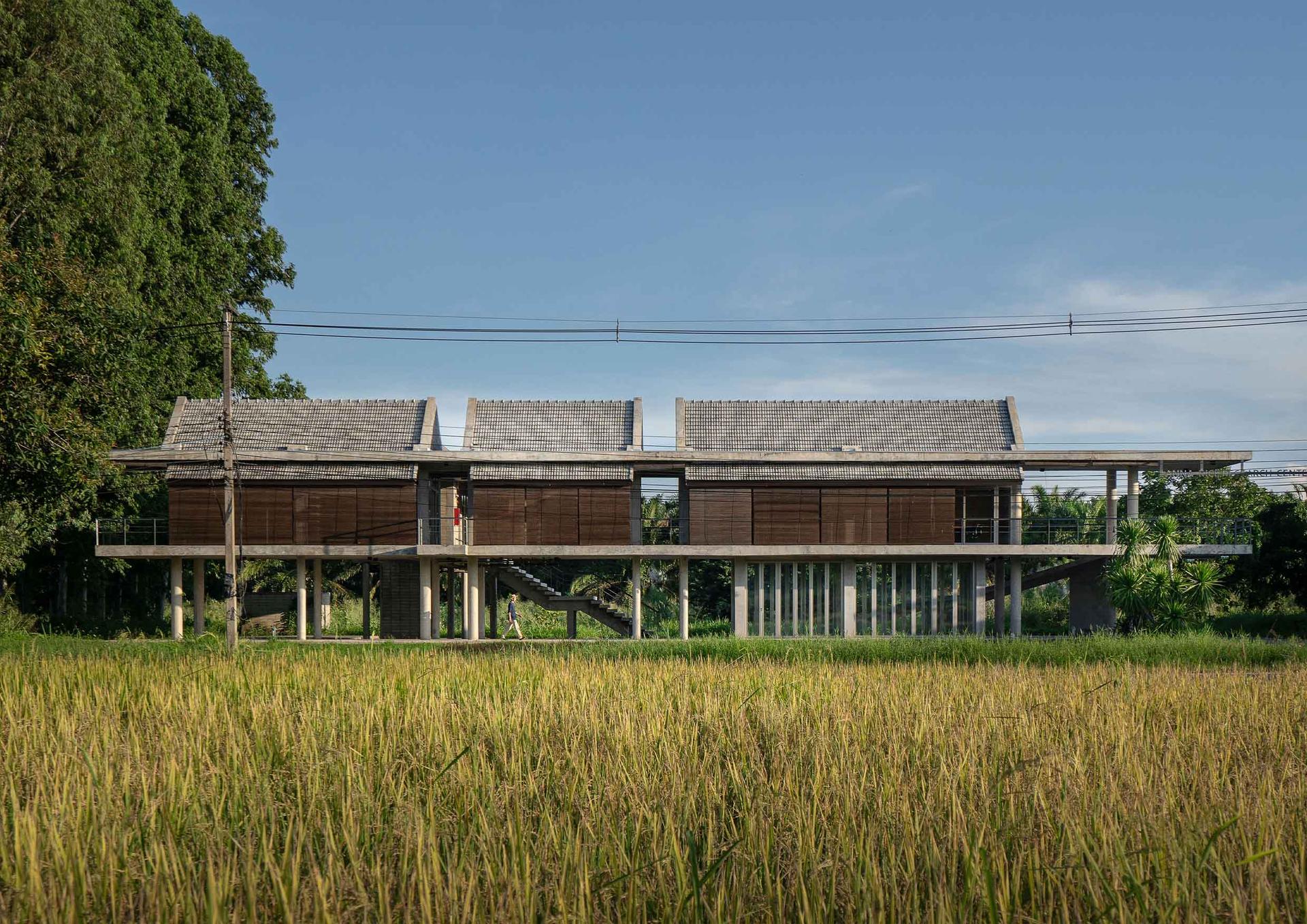 Lanna Rice Research Center, Chiang Mai University - image 3