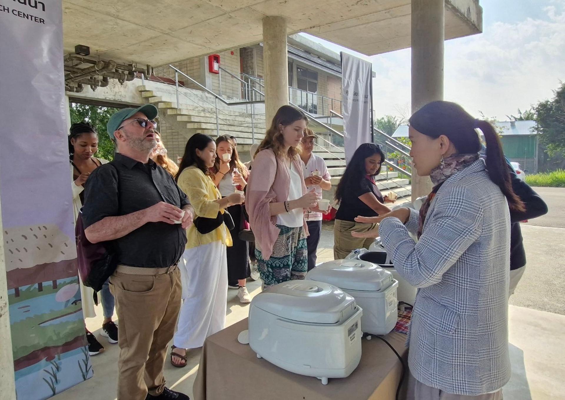 Lanna Rice Research Center, Chiang Mai University - image 25