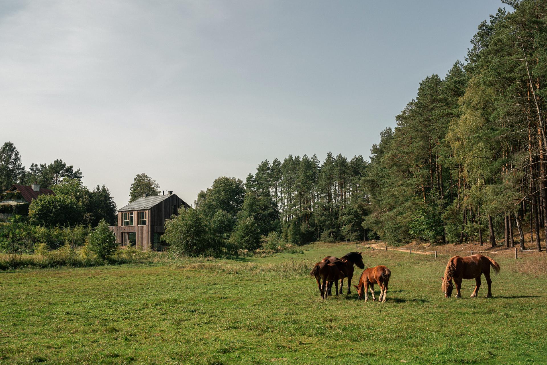 Country House - image 4