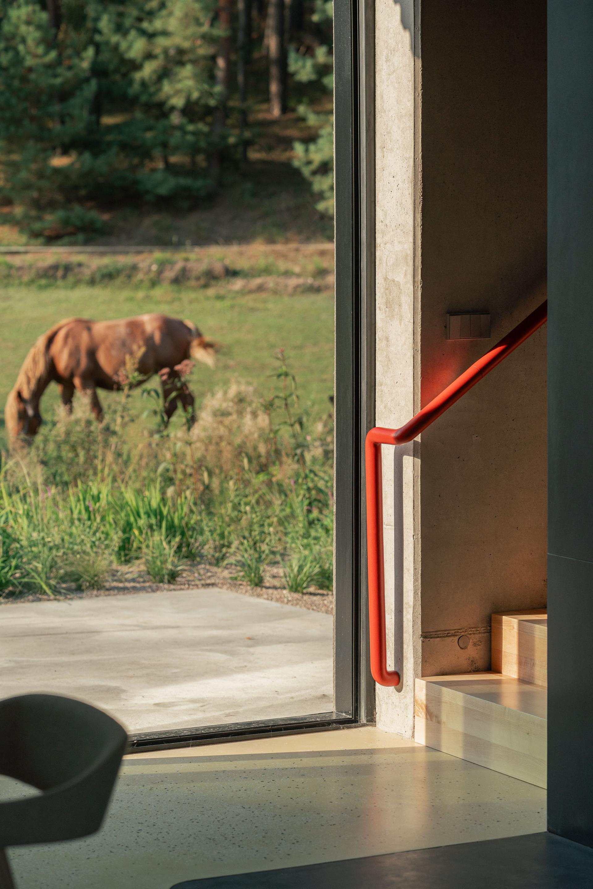 Country House - image 9