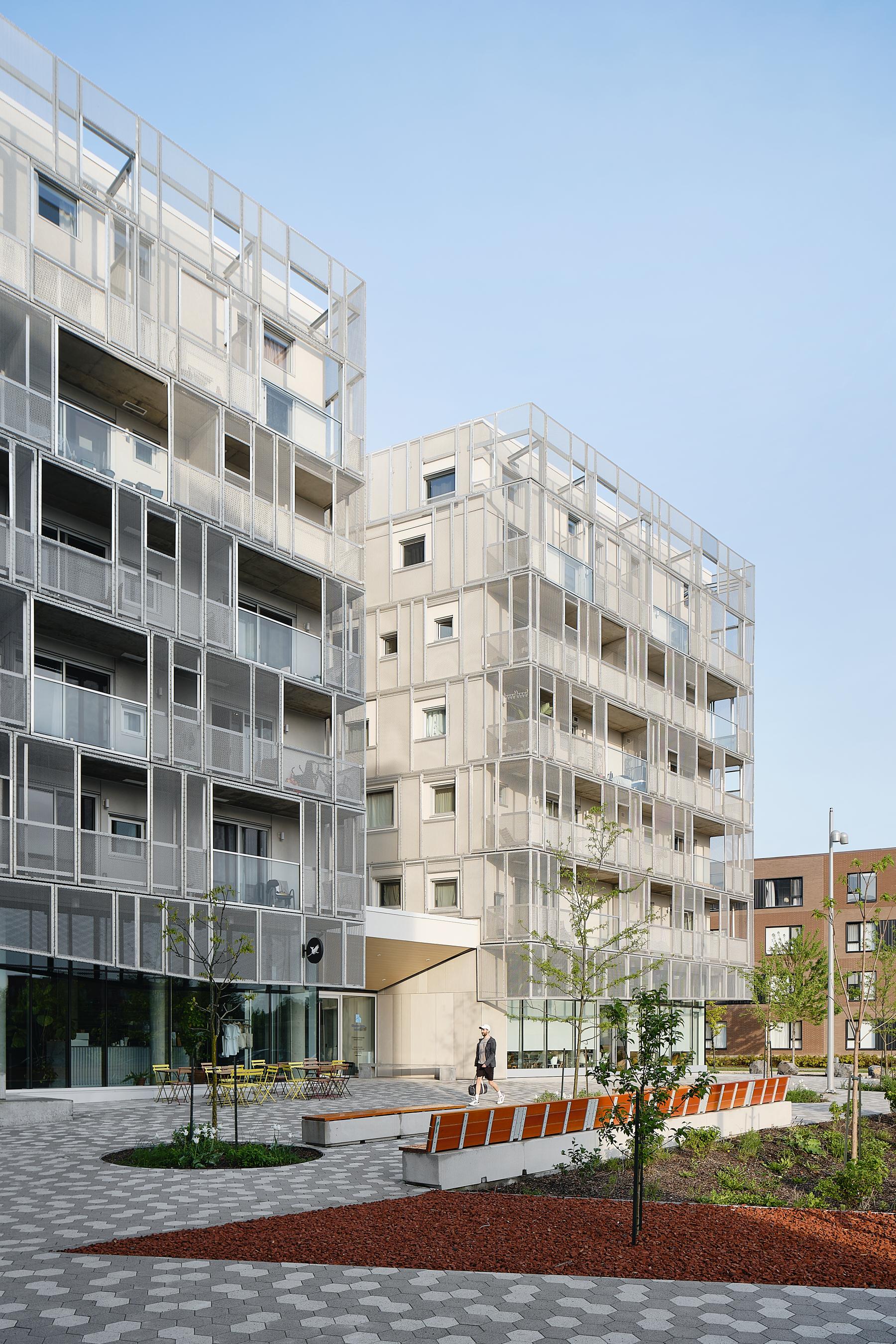 Rose des Vents - image 4