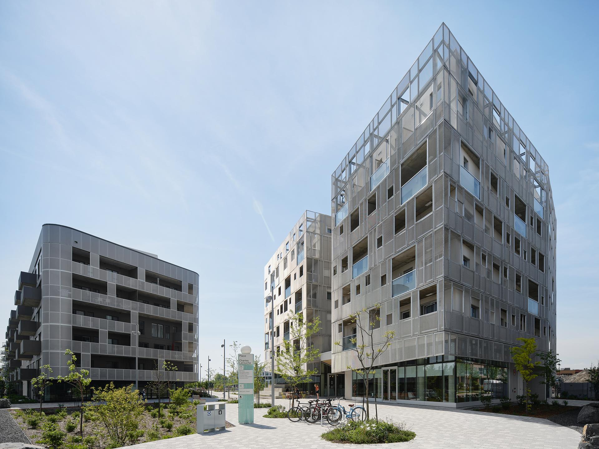 Rose des Vents - image 6
