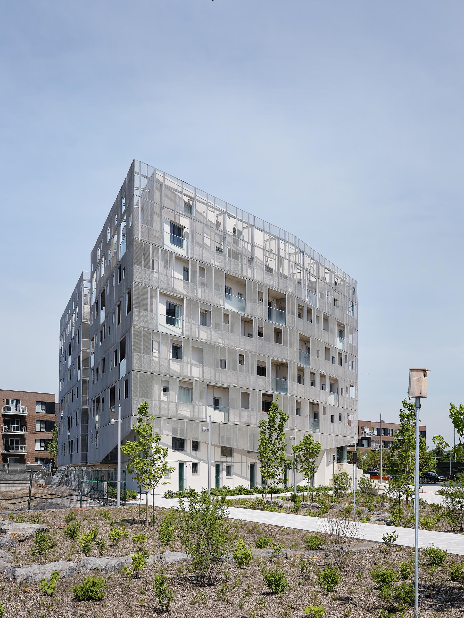 Rose des Vents - image 9