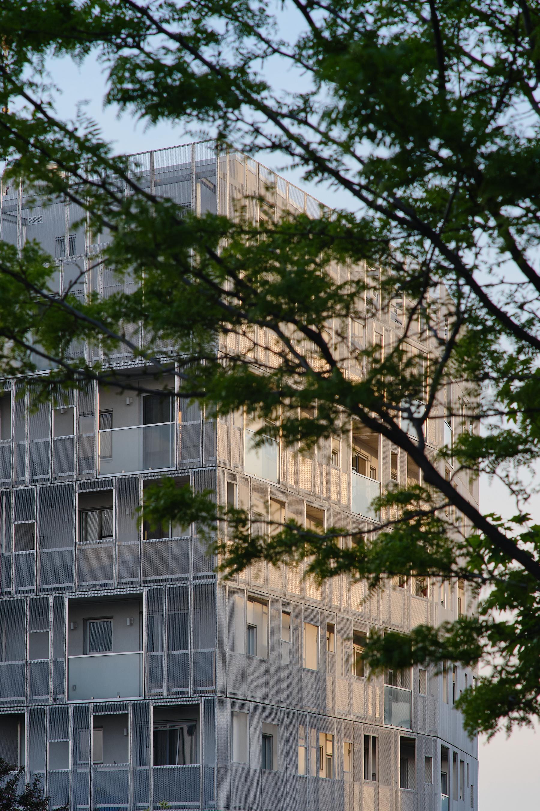 Rose des Vents - image 10