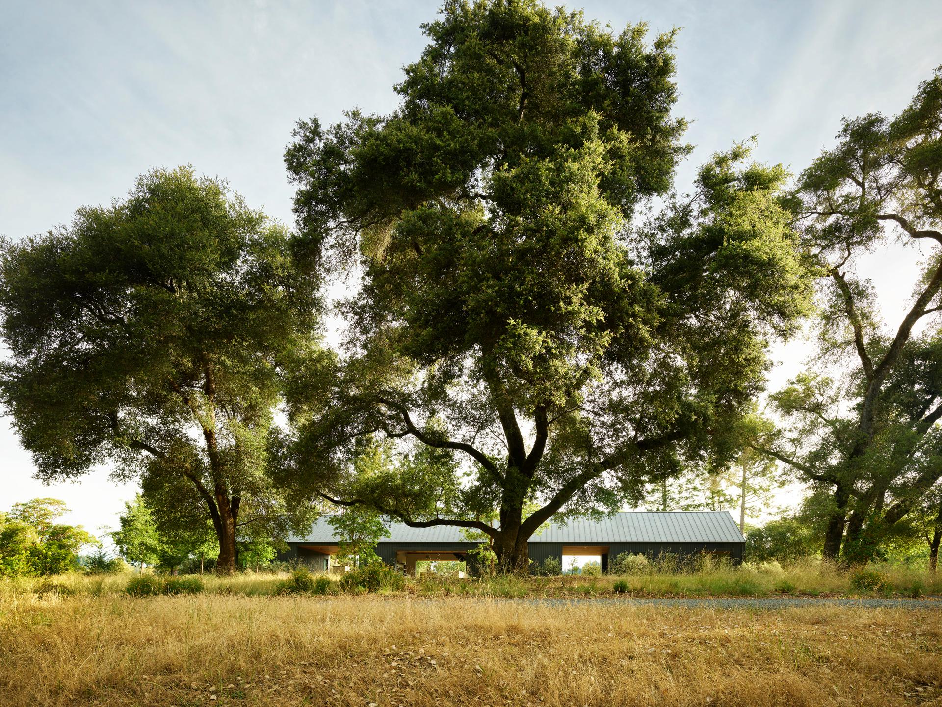 Northern California Reserve