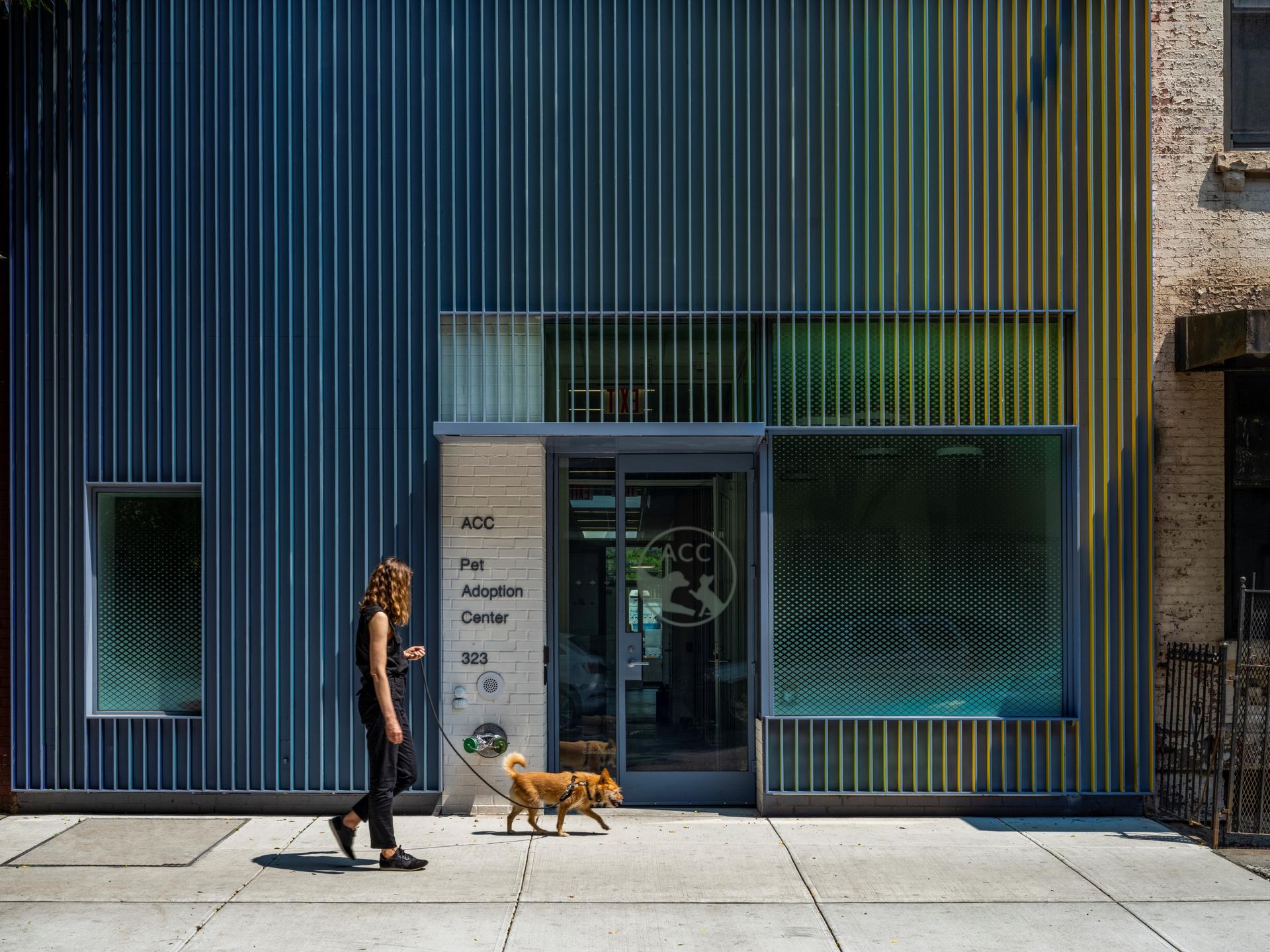 Manhattan Pet Adoption Center - image 3