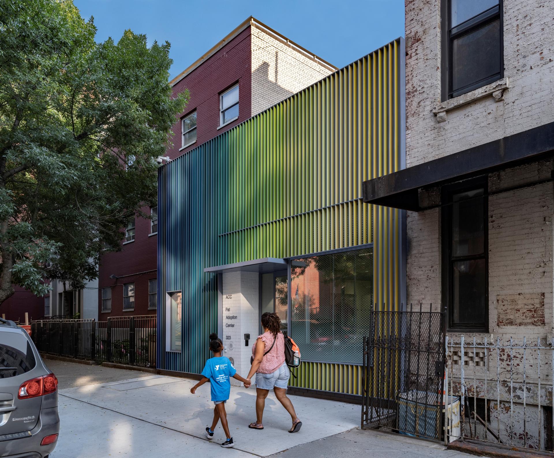 Manhattan Pet Adoption Center - image 4