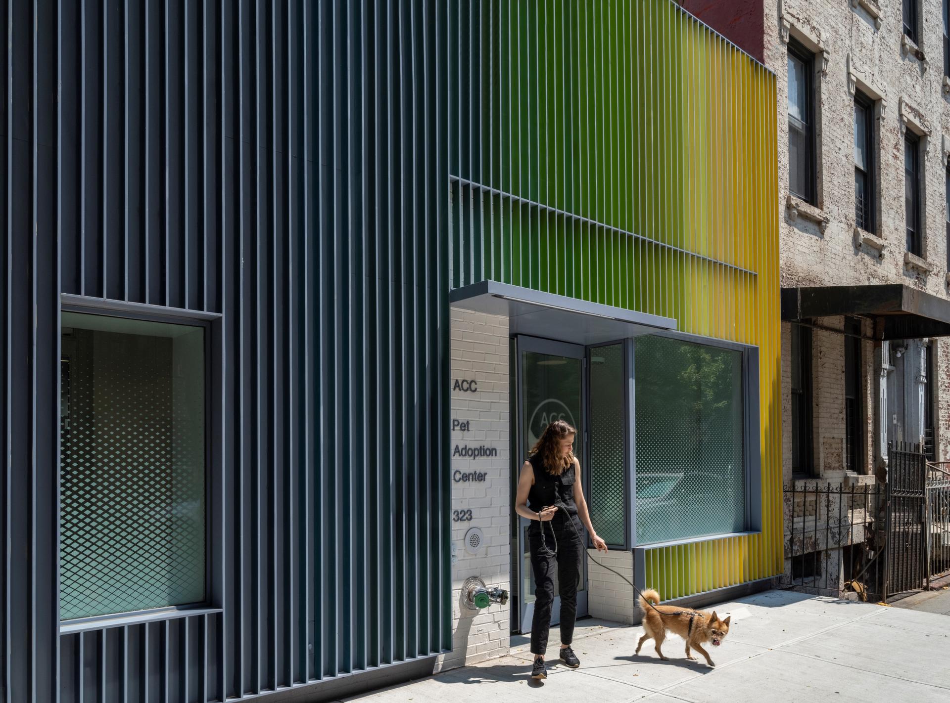 Manhattan Pet Adoption Center - image 5