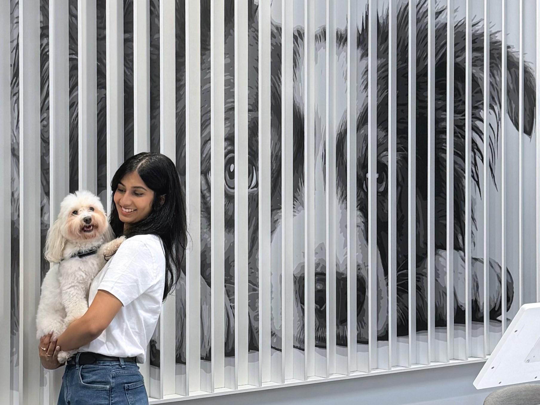 Manhattan Pet Adoption Center - image 8