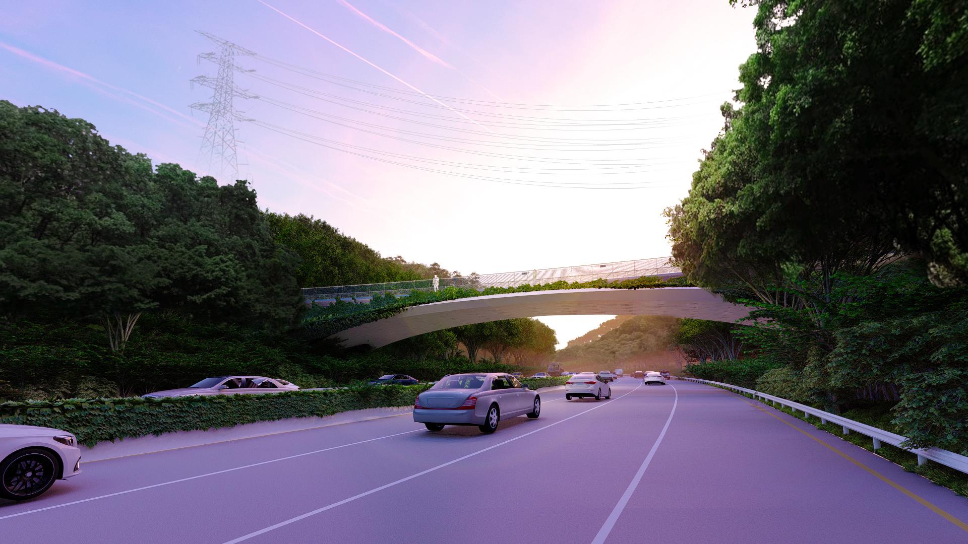 Meilin Mountain – Yinhu Mountain Corridor Bridge - image 11