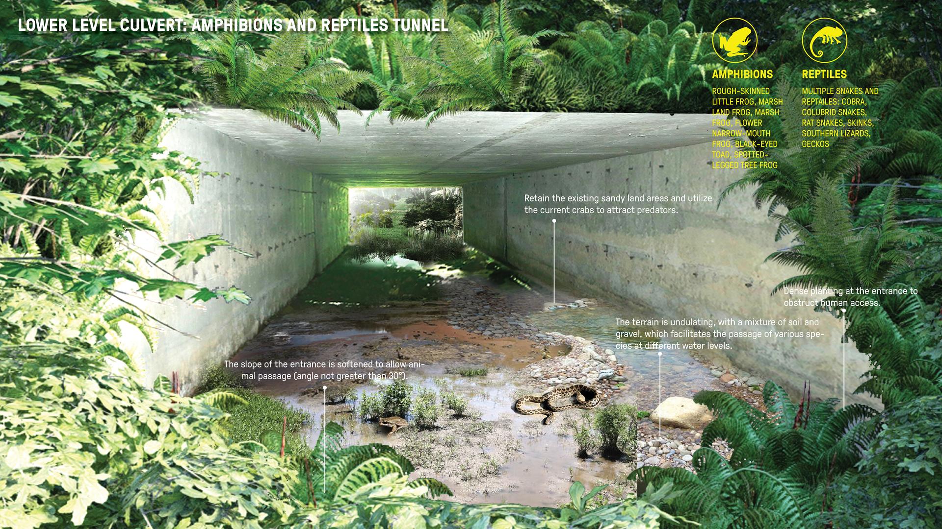 Meilin Mountain – Yinhu Mountain Corridor Bridge - image 10