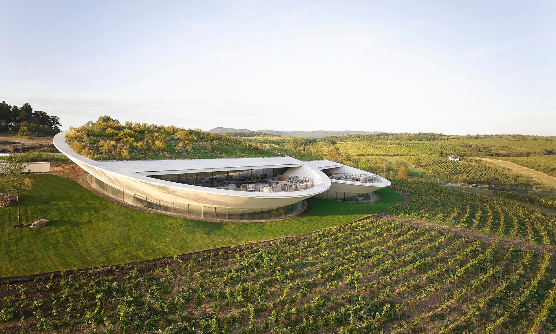 Sauska Tokaj Winery