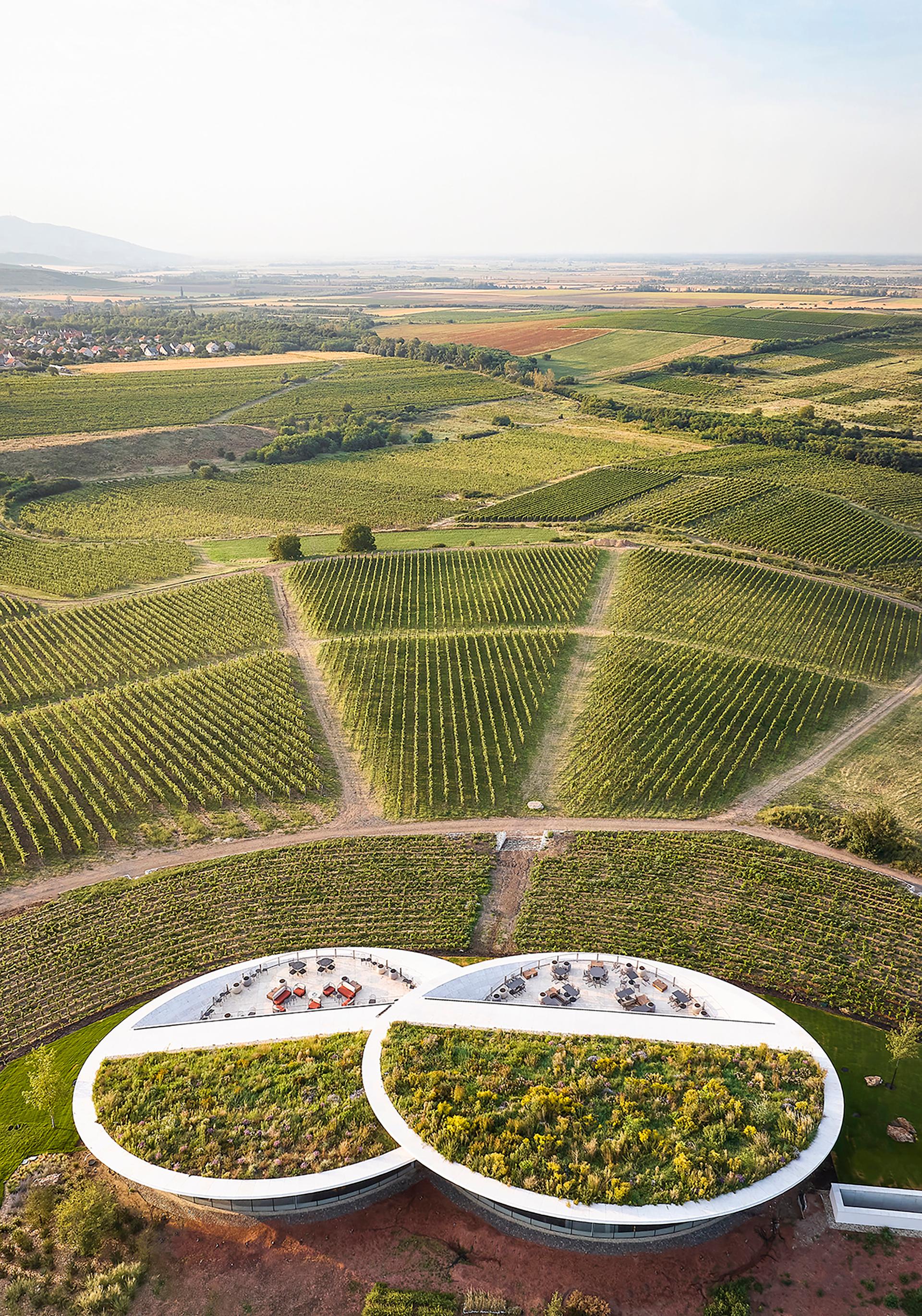Sauska Tokaj Winery - image 6