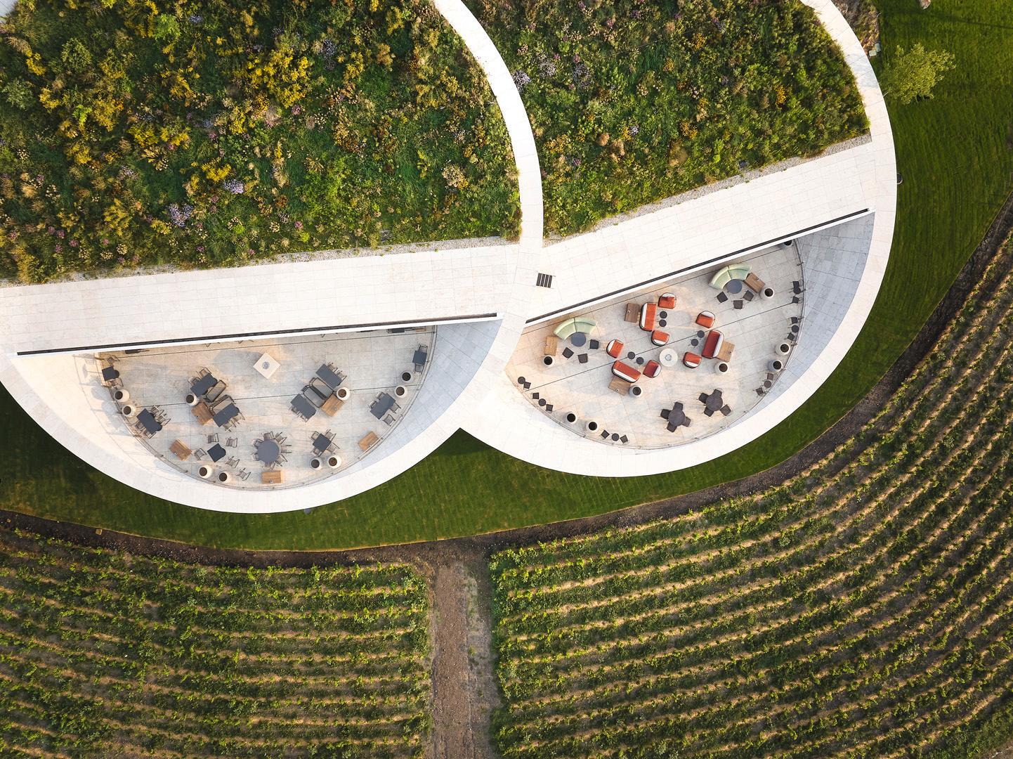 Sauska Tokaj Winery - image 5