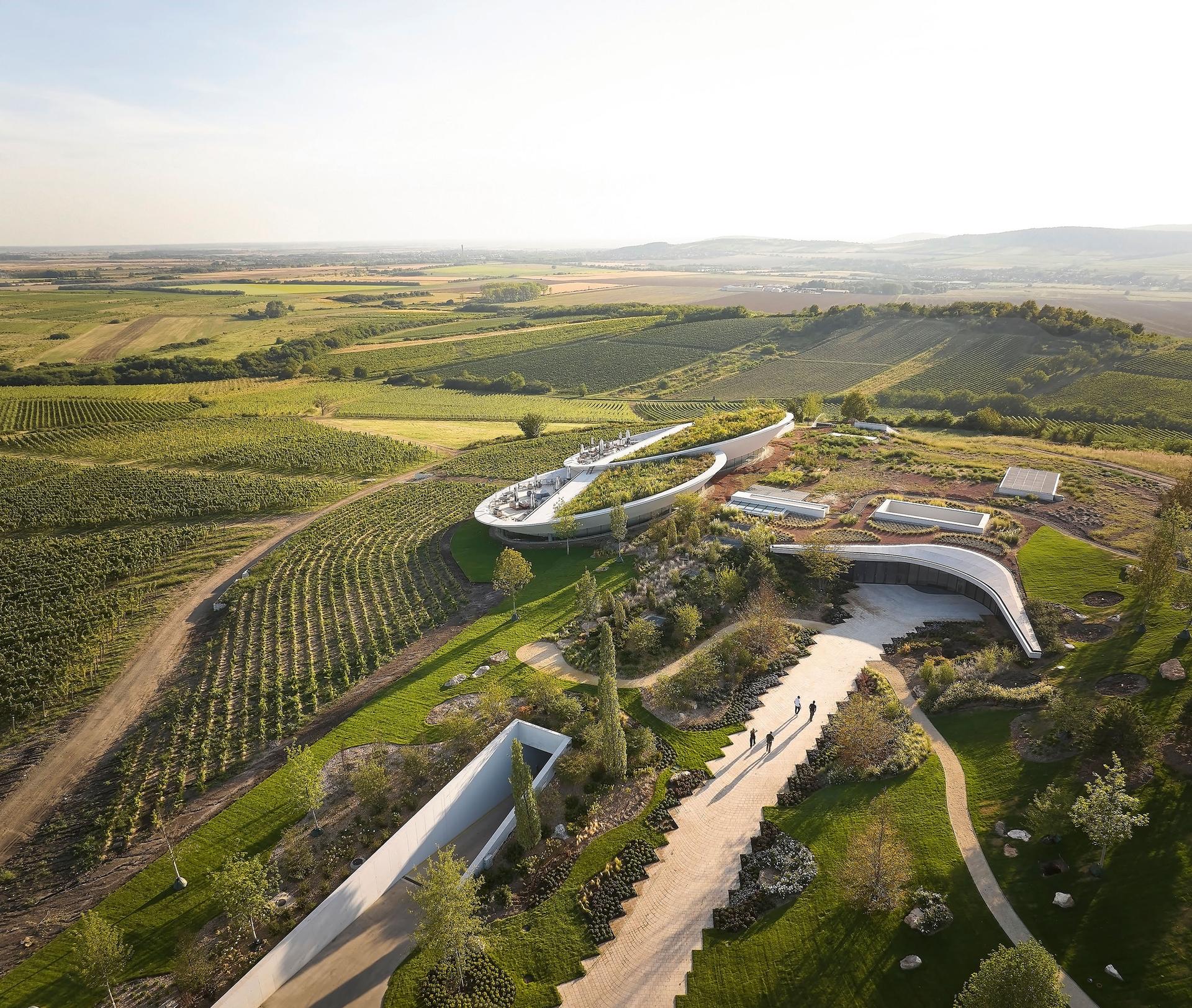 Sauska Tokaj Winery - image 4