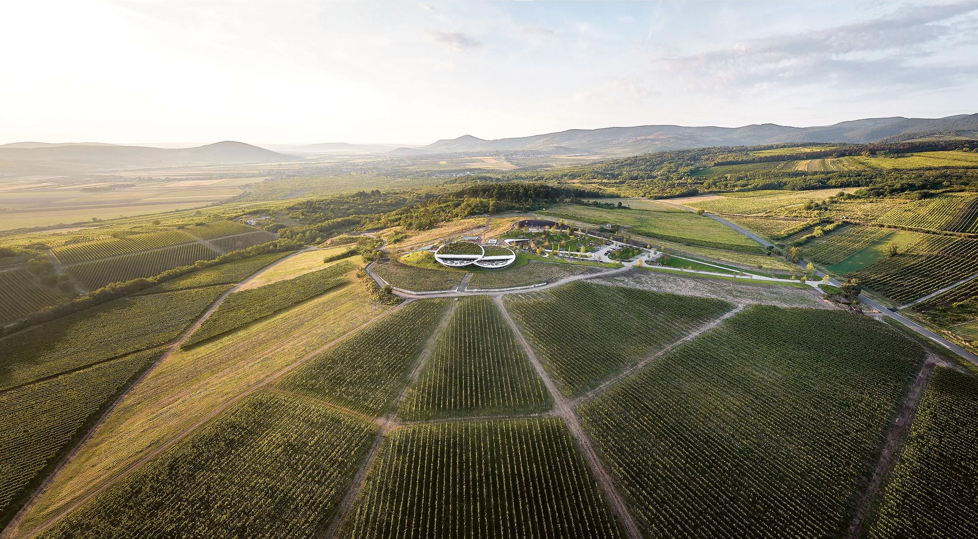 Sauska Tokaj Winery - image 14