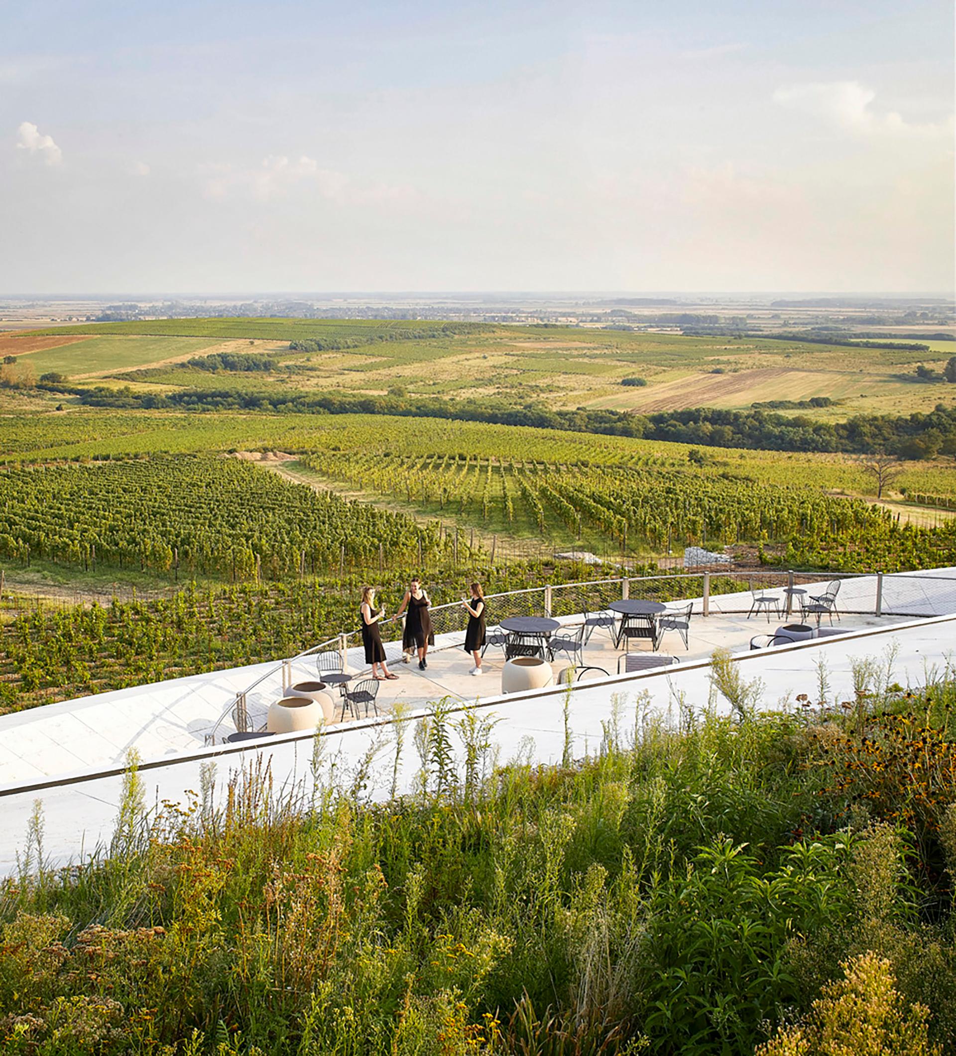 Sauska Tokaj Winery - image 3