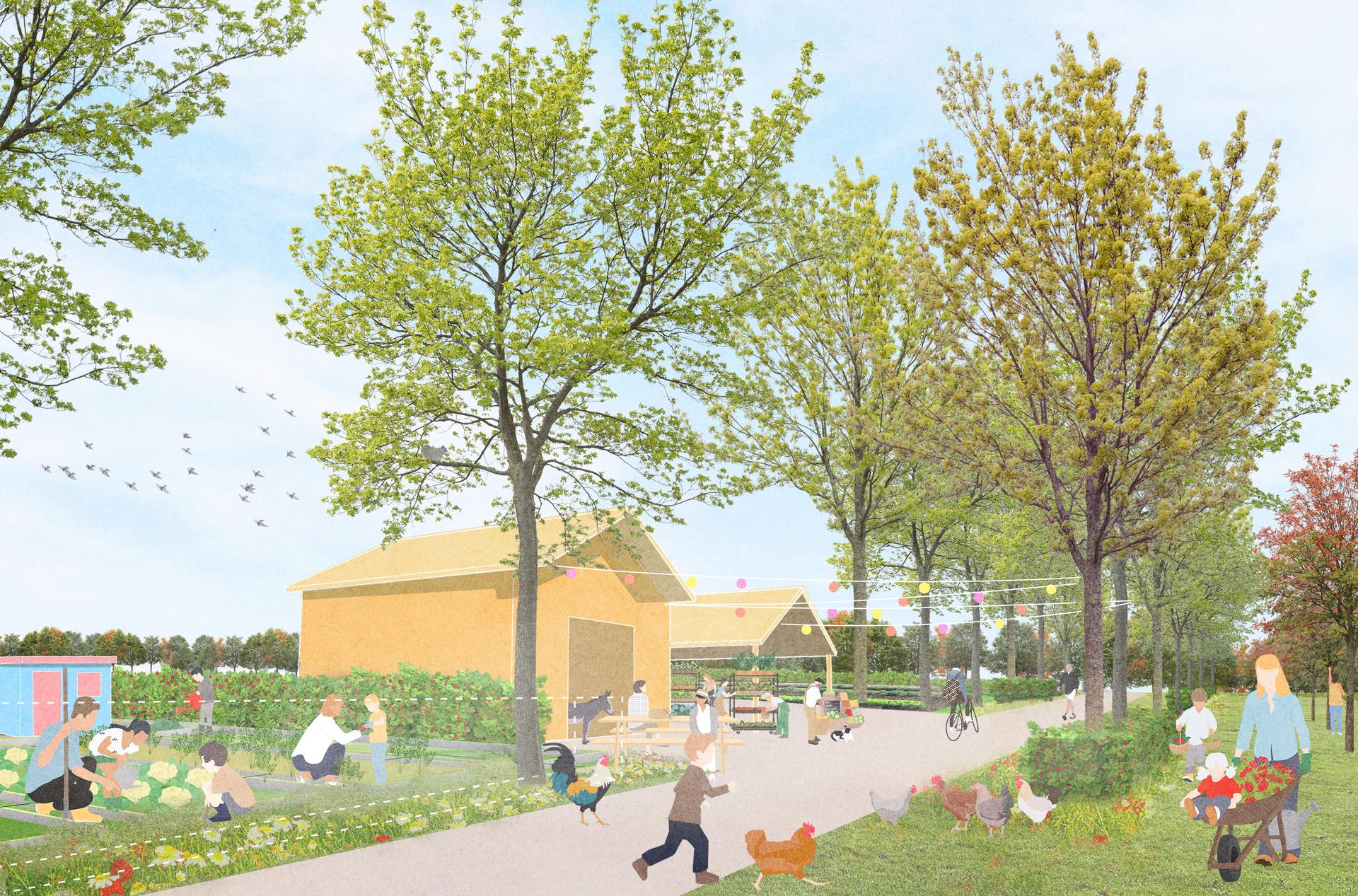 Masterplan Begbroke Innovation District - image 8