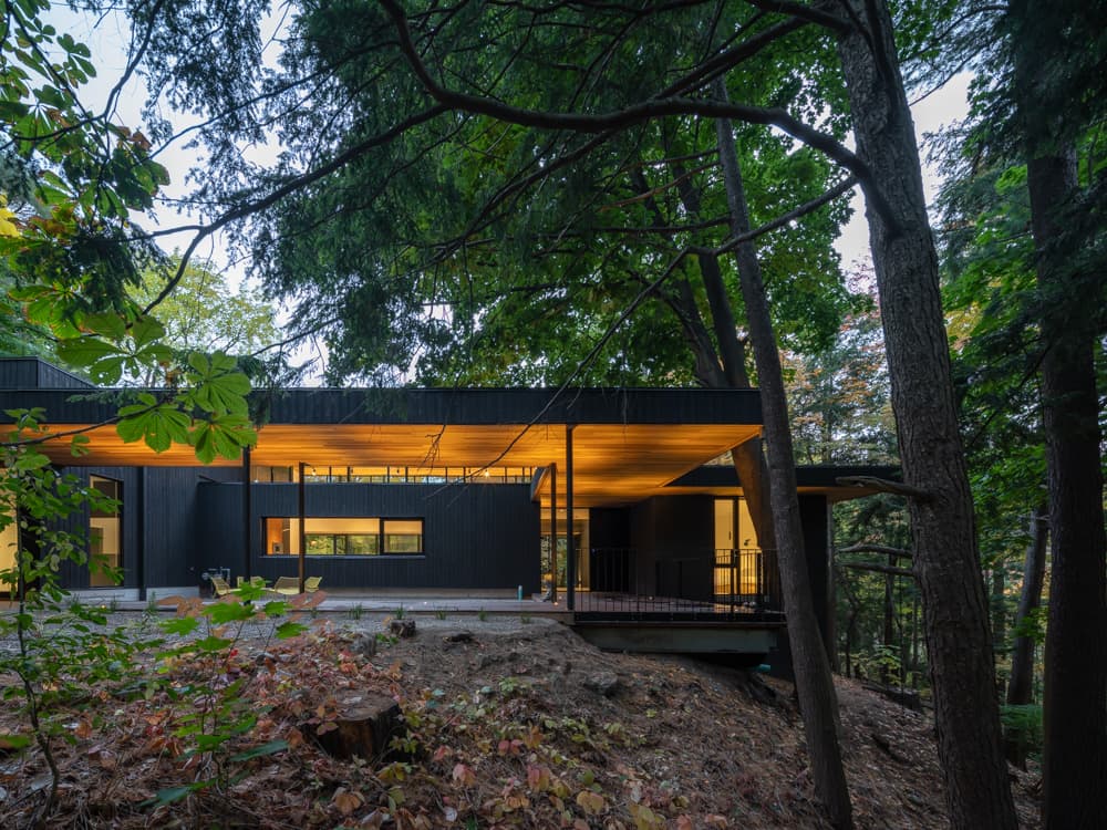 Ravine House - image 7