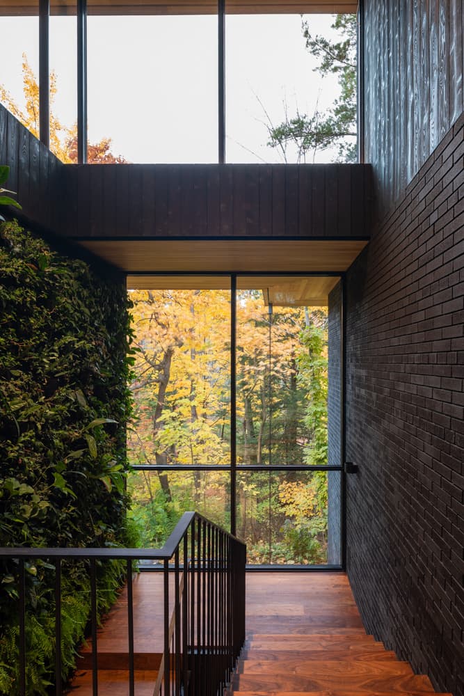 Ravine House - image 8