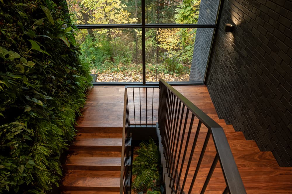 Ravine House - image 9