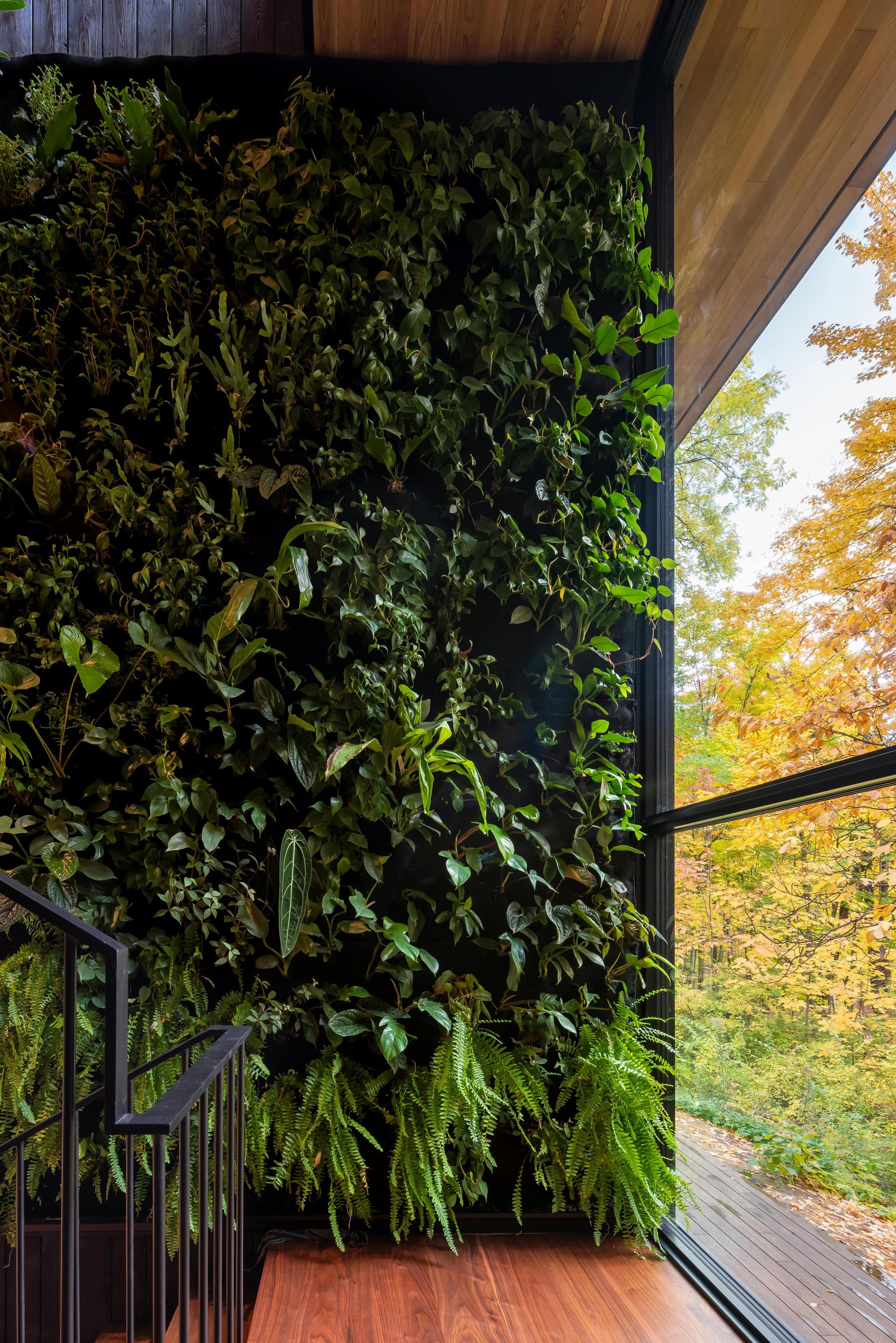 Ravine House - image 10