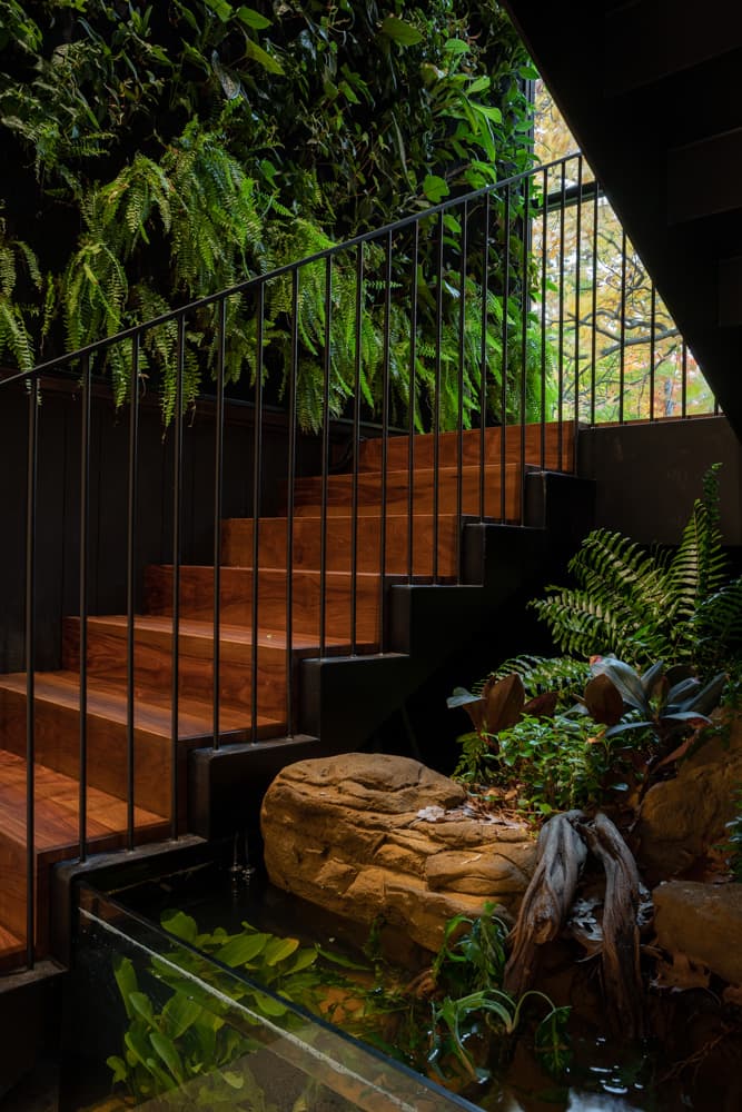 Ravine House - image 11