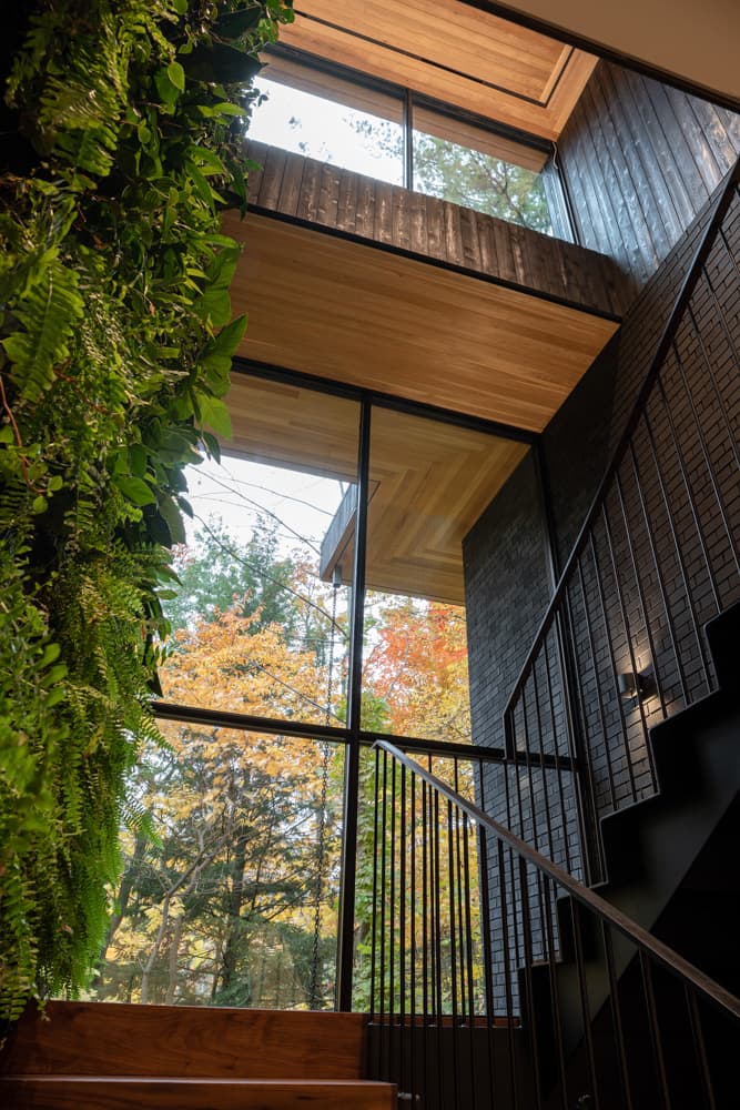 Ravine House - image 12