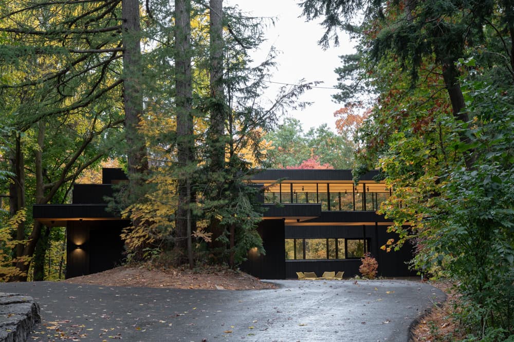 Ravine House - image 24