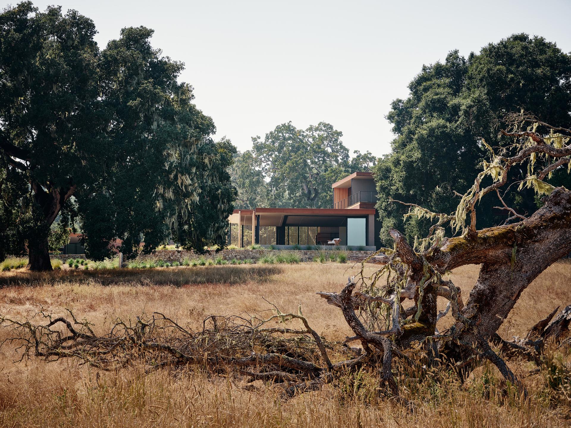 Meadow House - image 3