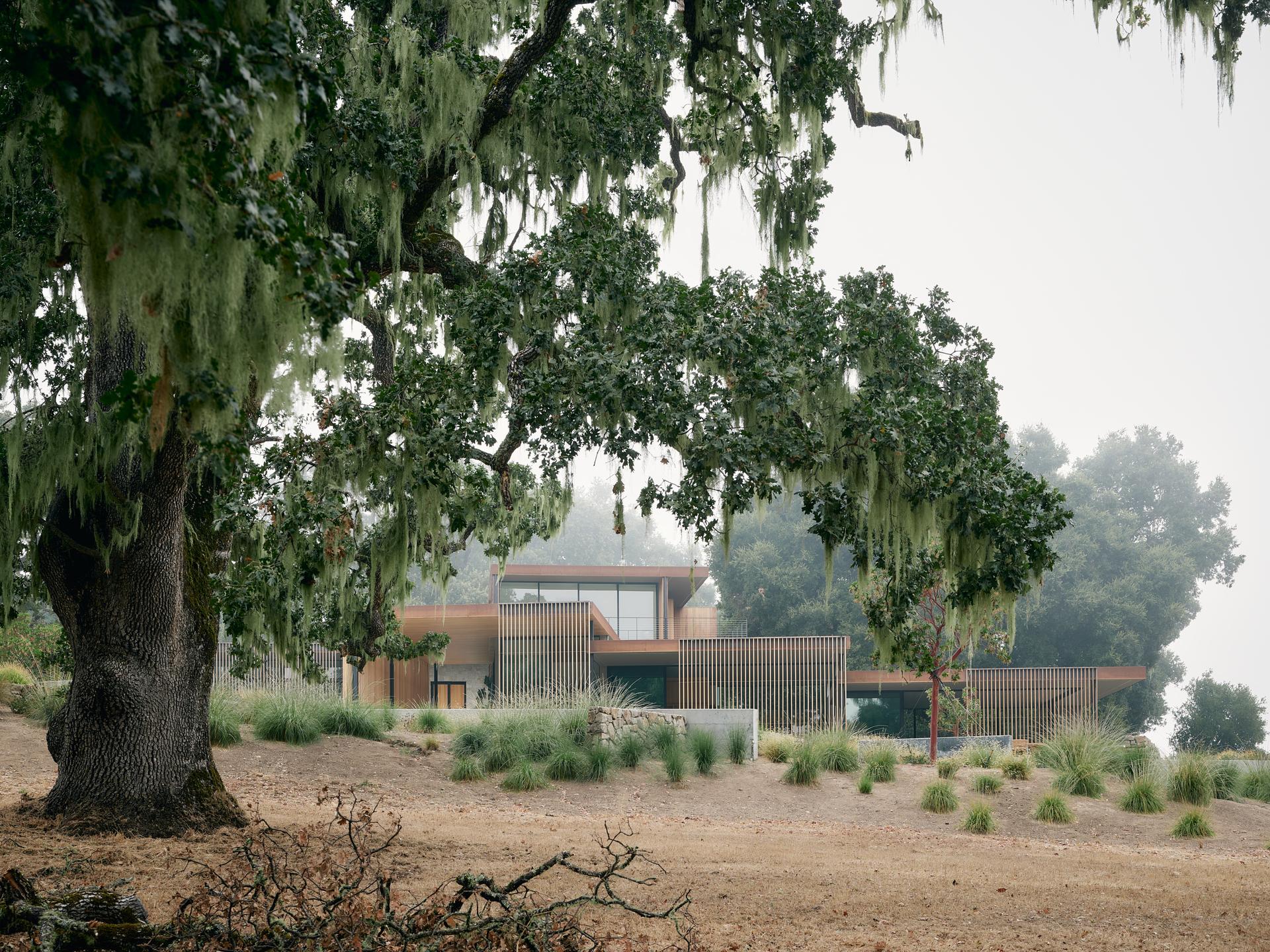 Meadow House - image 4