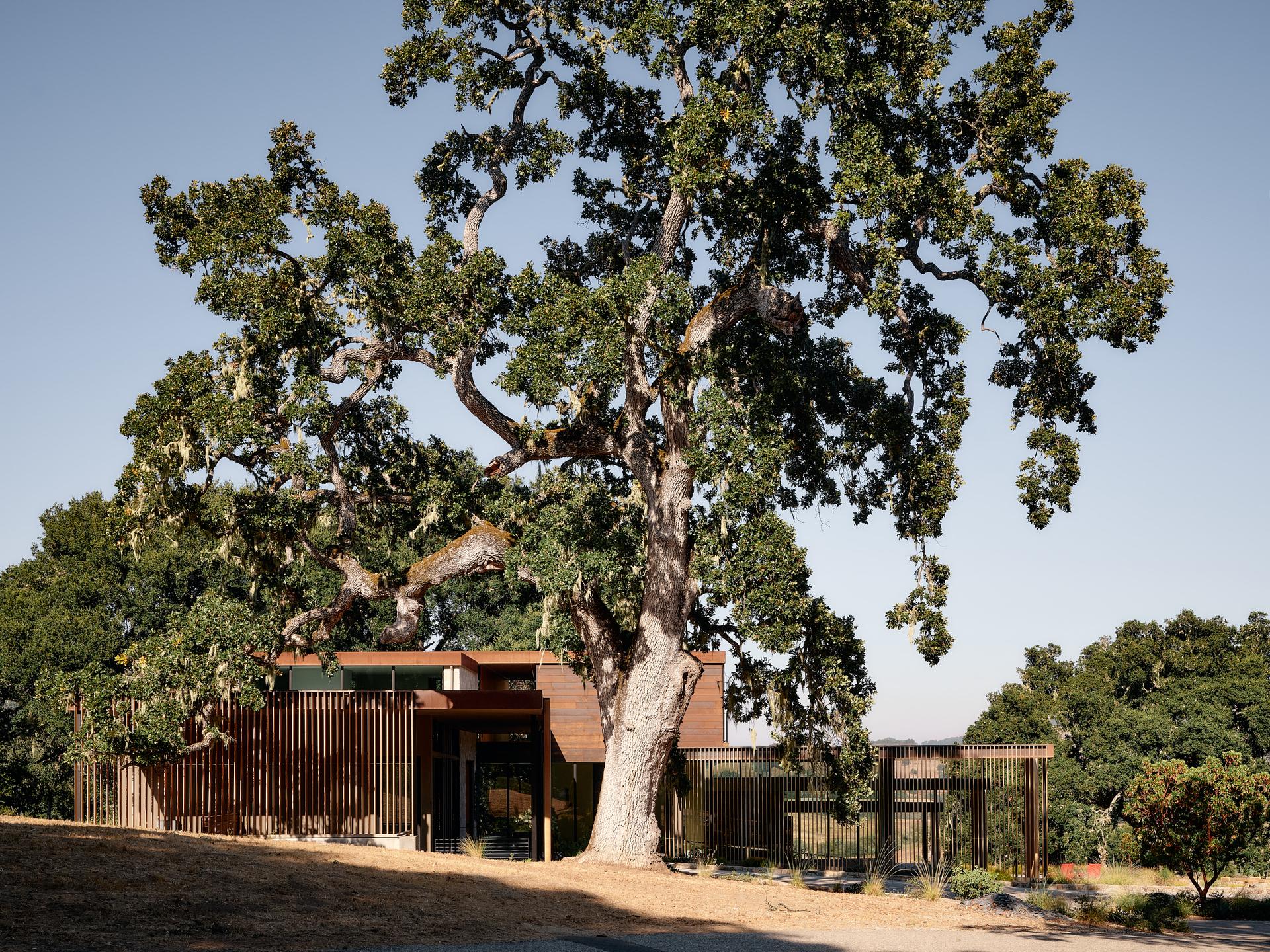 Meadow House - image 2