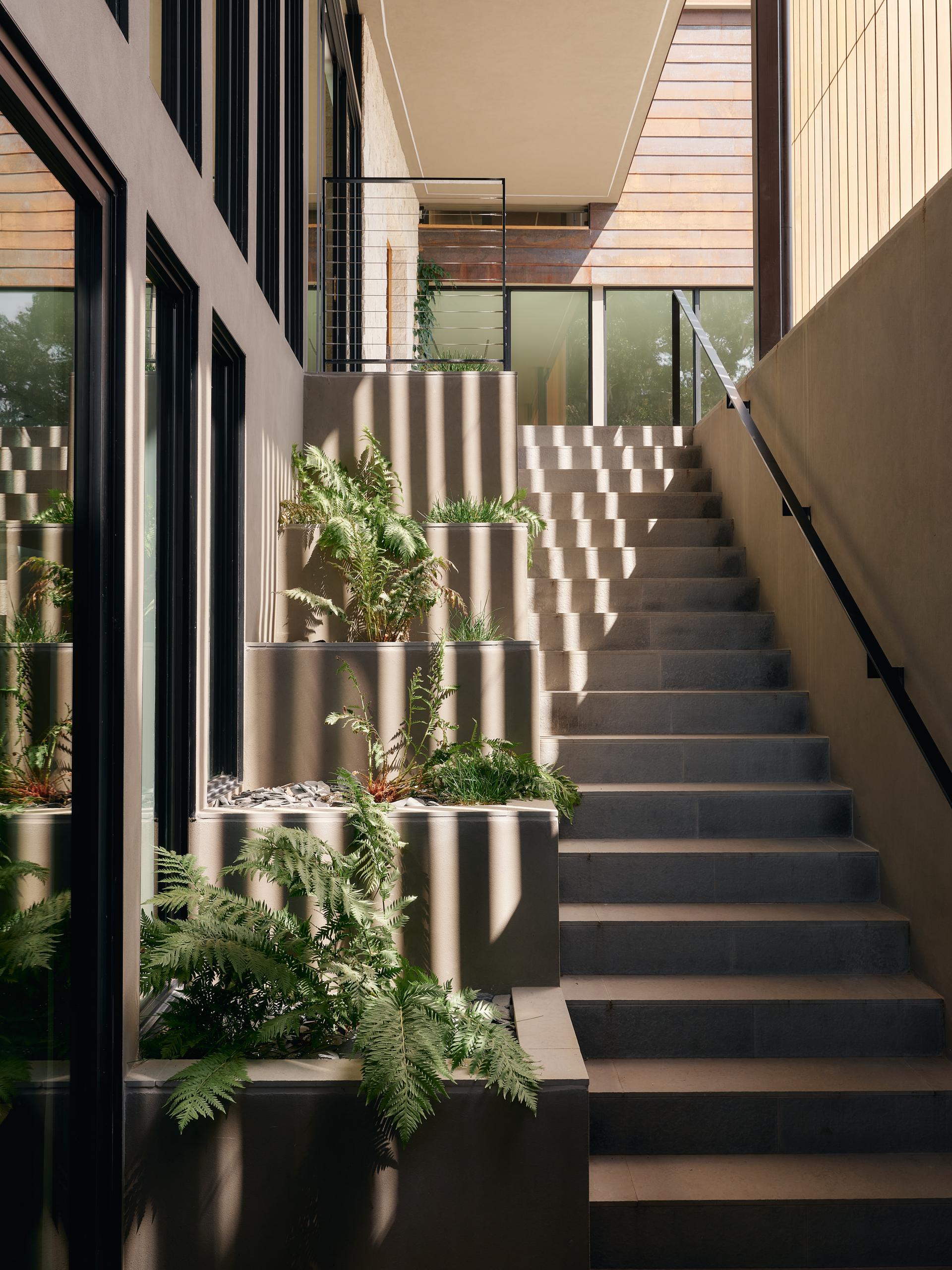 Meadow House - image 24