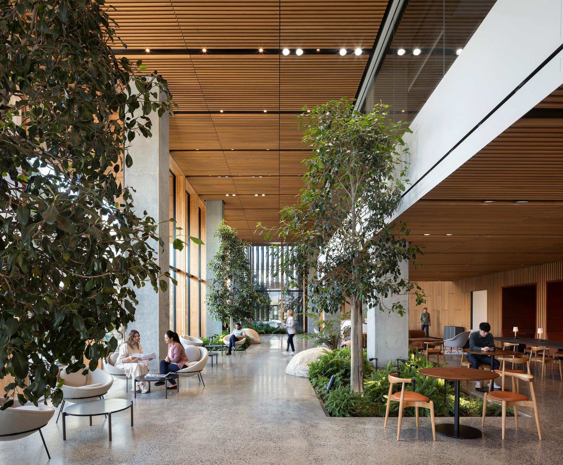 NBCUniversal Campus Project - image 9