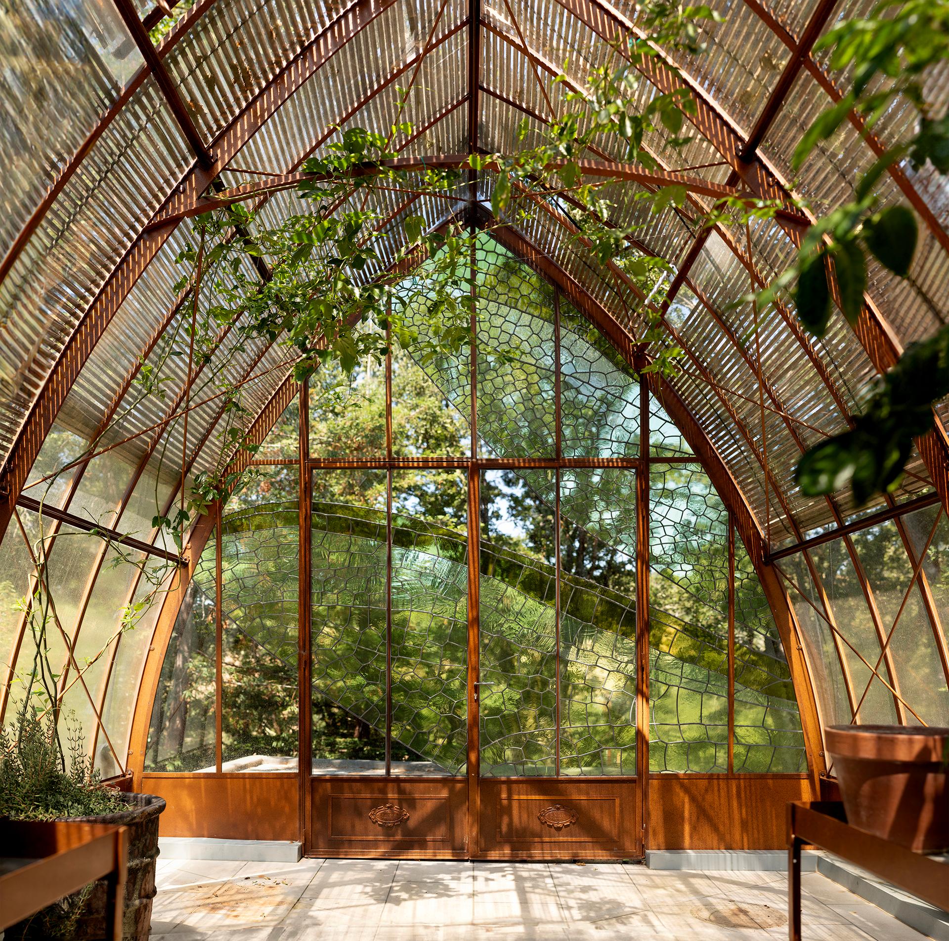 Diaphanous Greenhouse - image 3