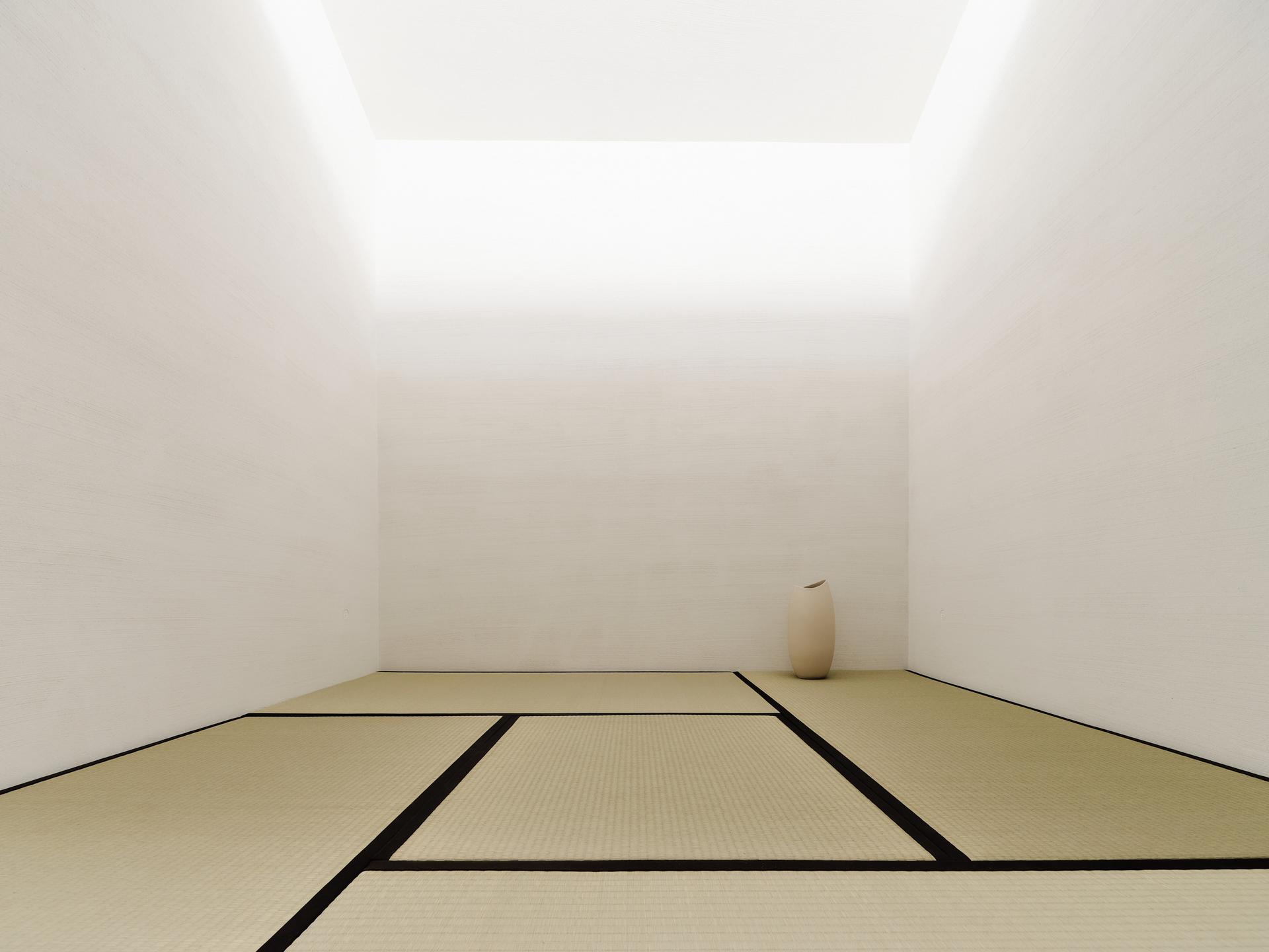 Capturing Light - image 9