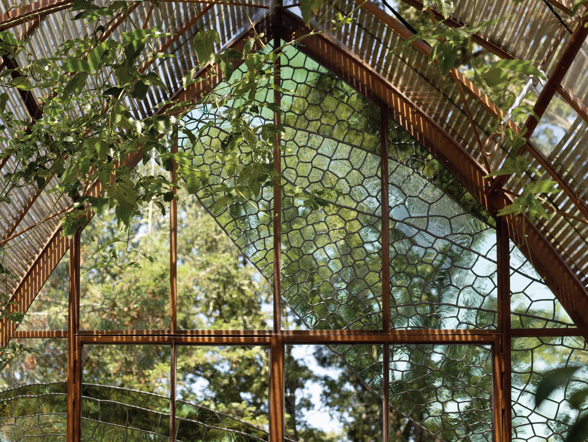Diaphanous Greenhouse - image 9