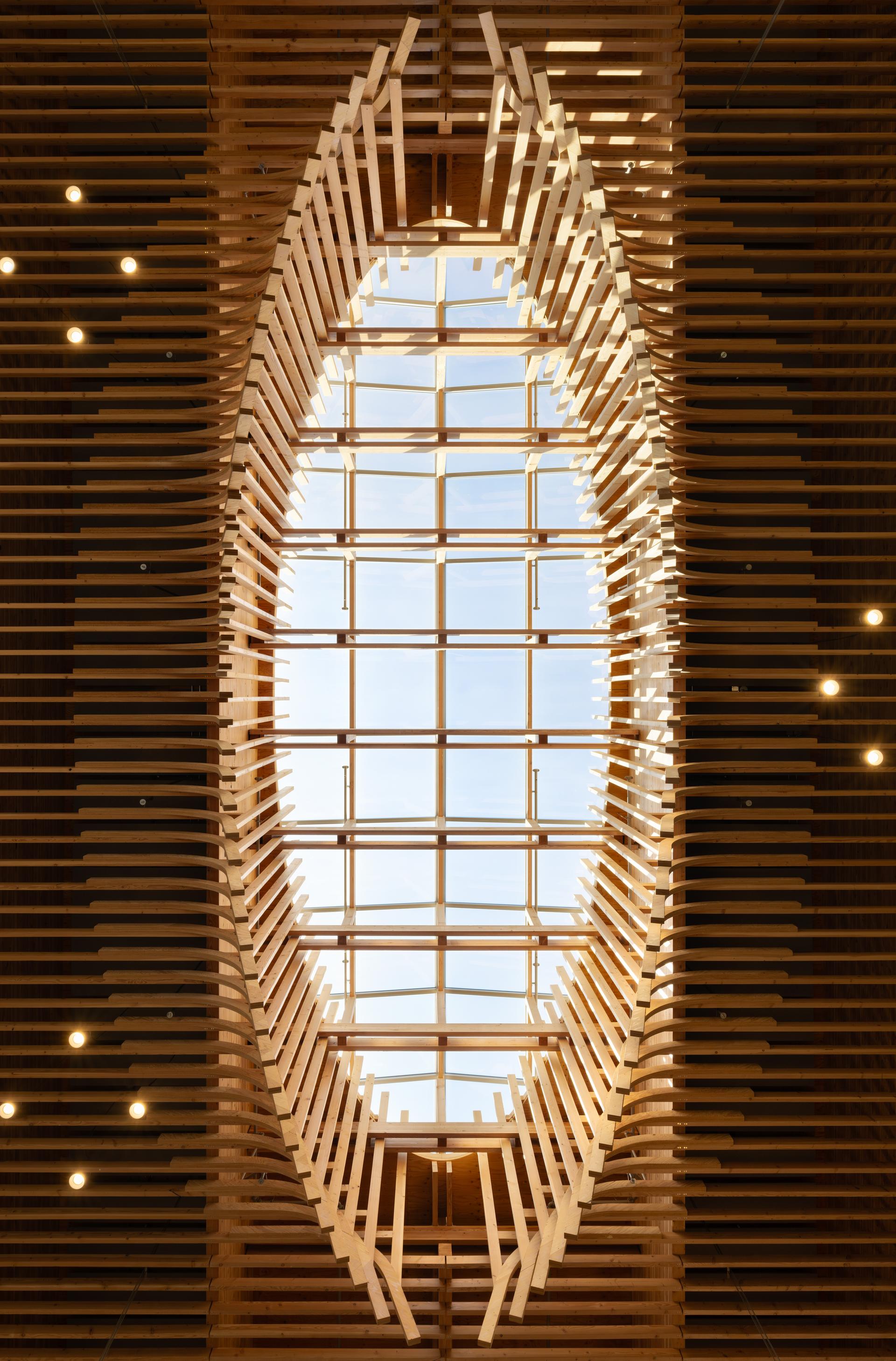 PDX - image 7