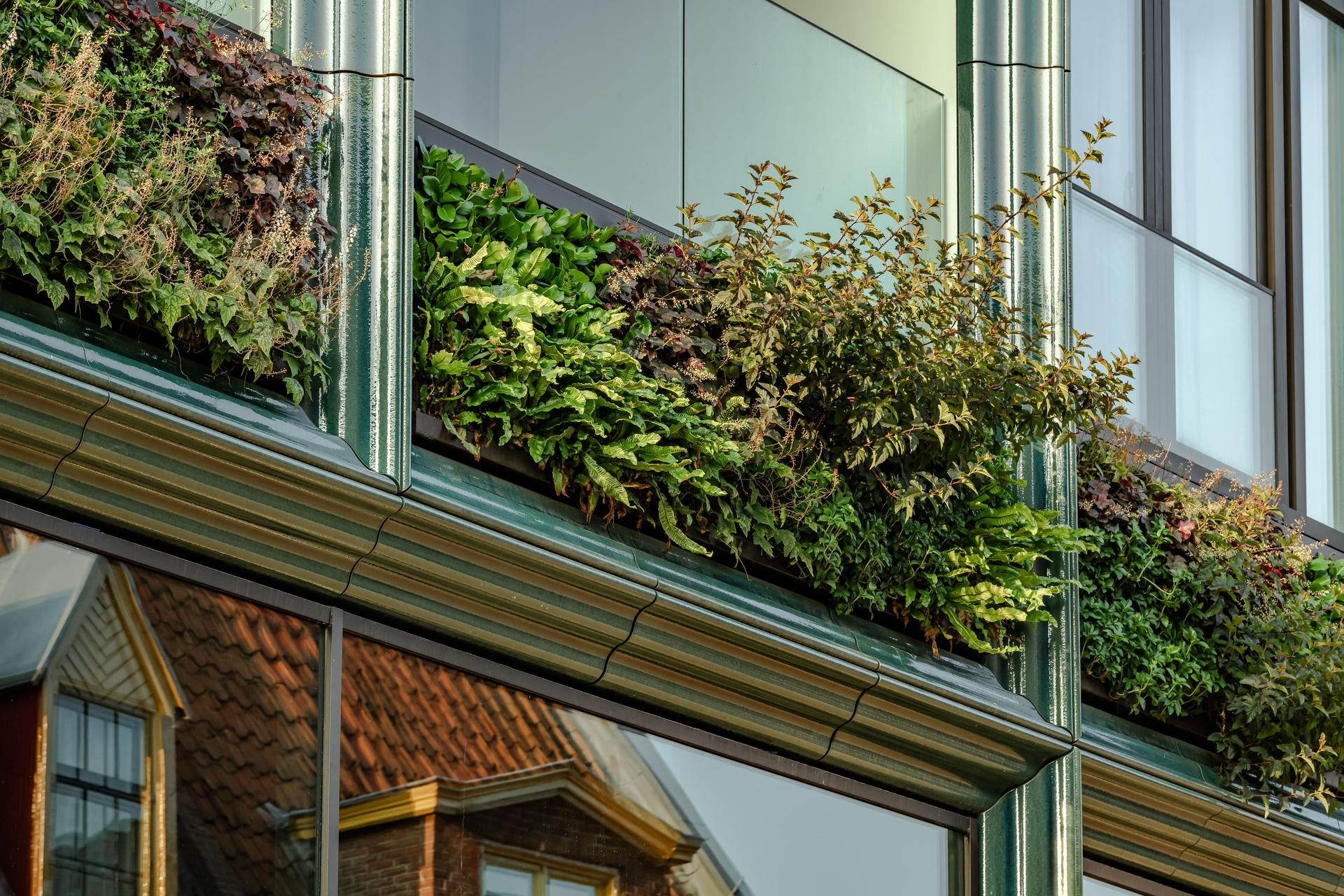 Mercado Groningen - image 10