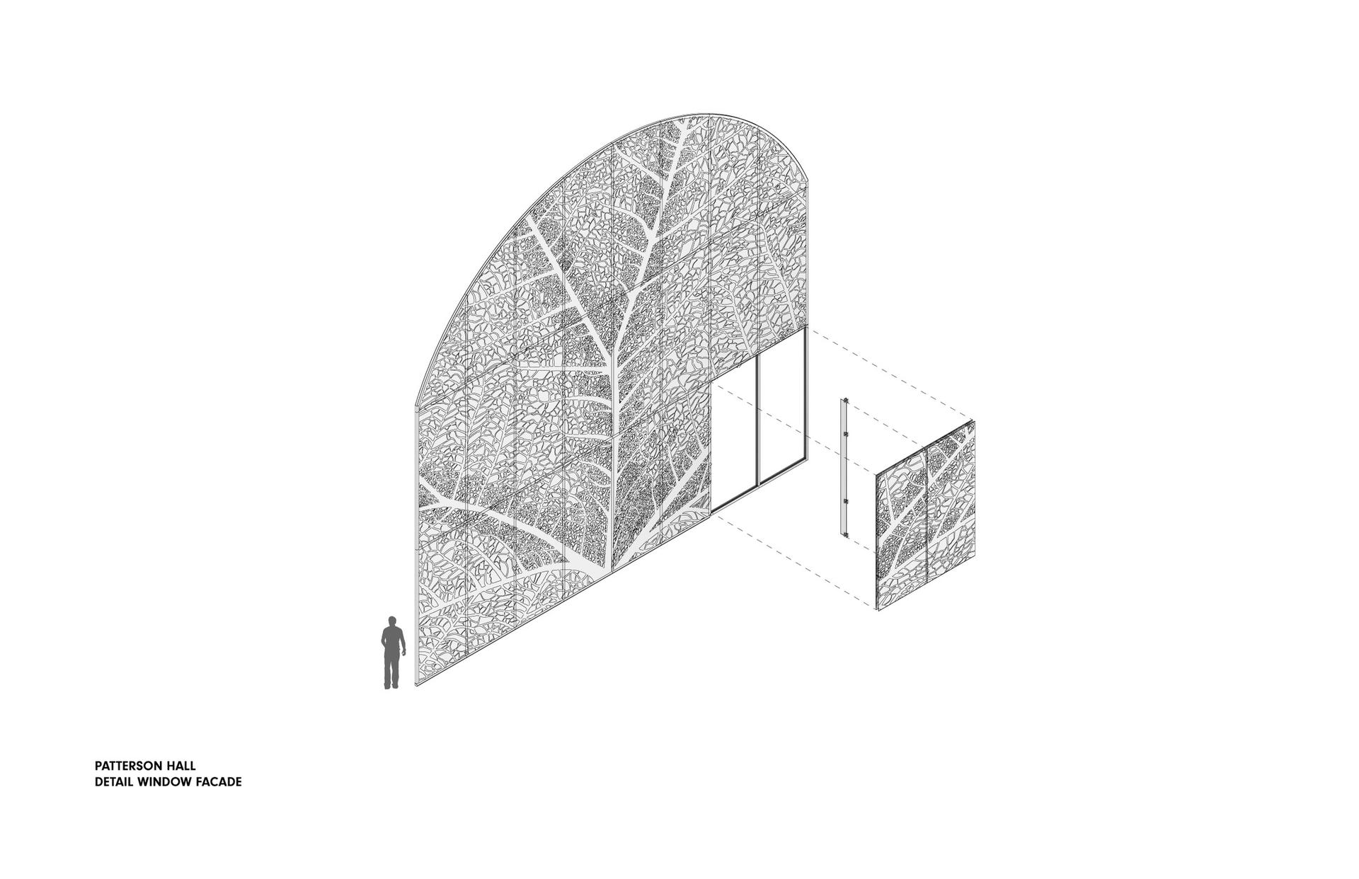Pembroke Hill School - image 17