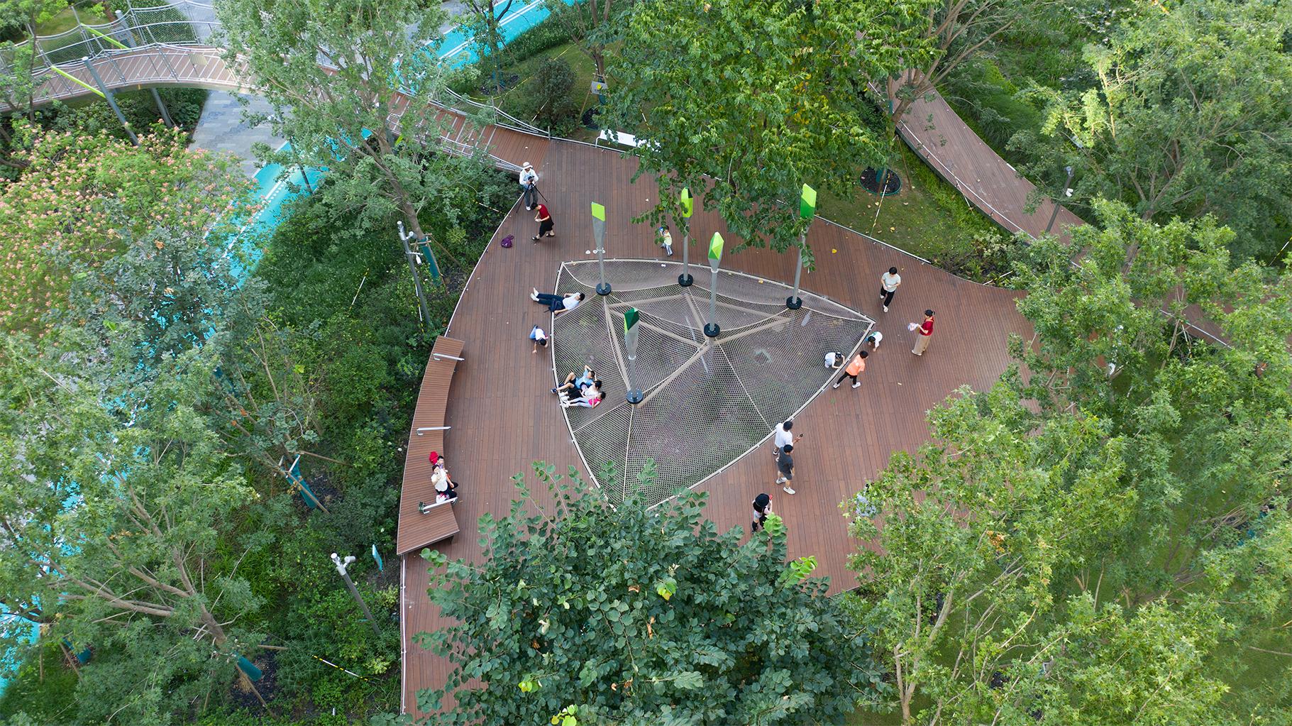 The Urban Carpet - image 3