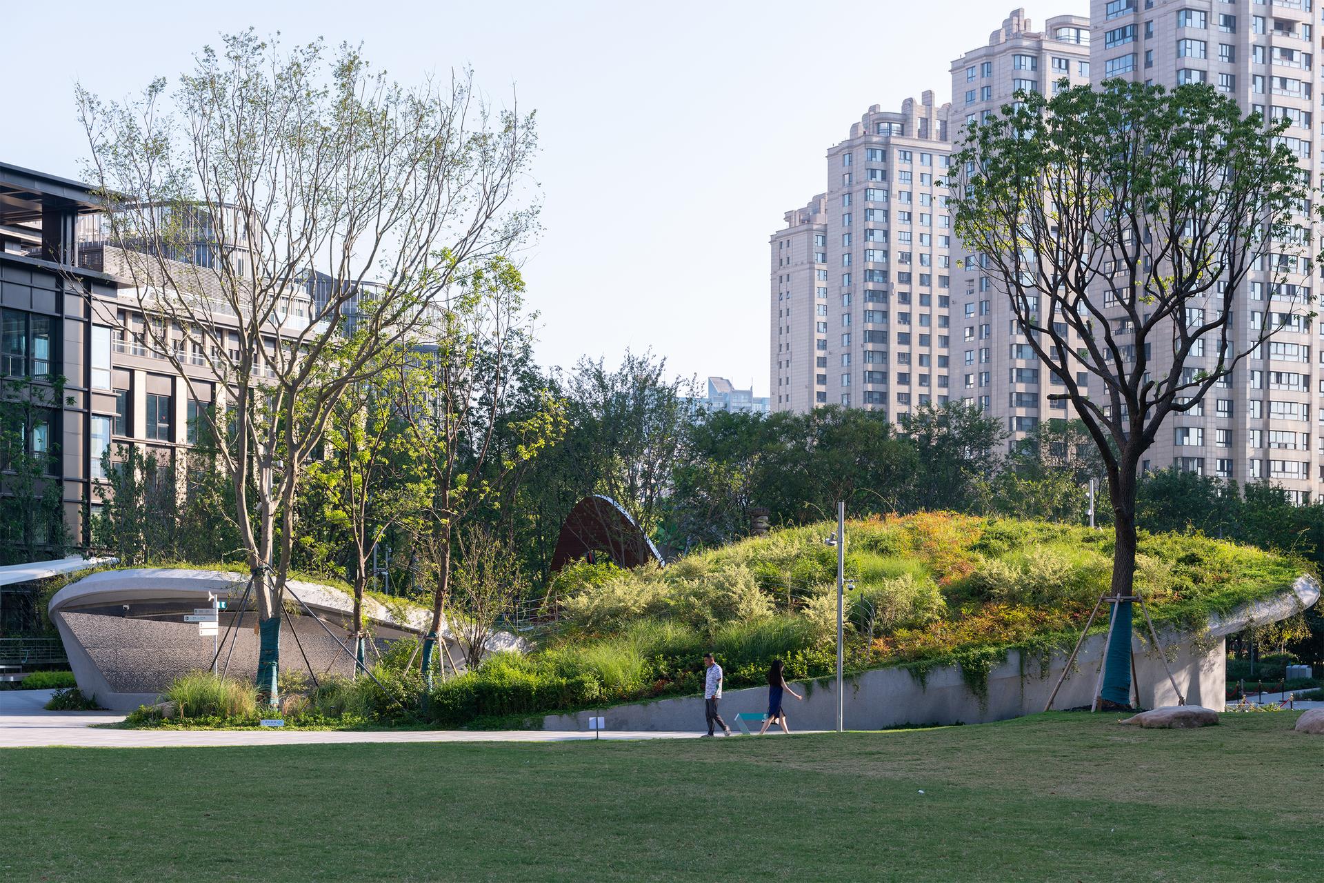 The Urban Carpet - image 7