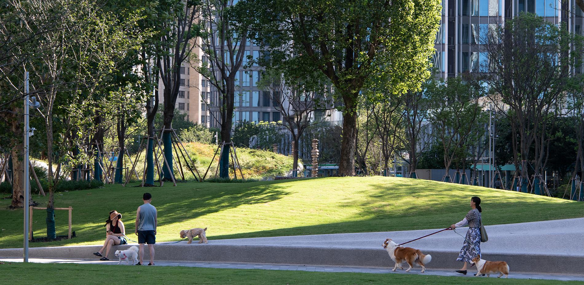 The Urban Carpet - image 11